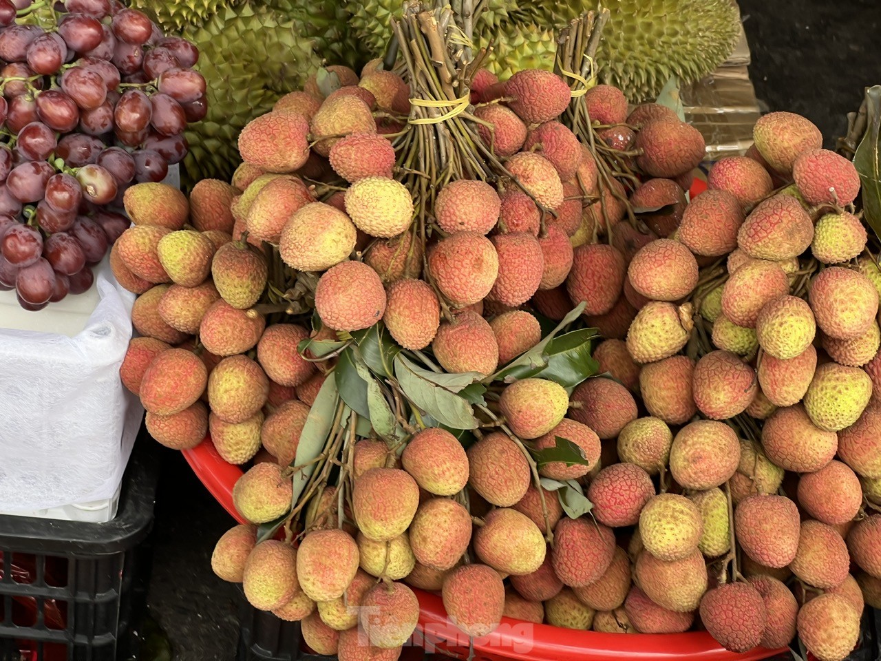 Vải thiều vào vụ, giá rẻ bất ngờ ảnh 9