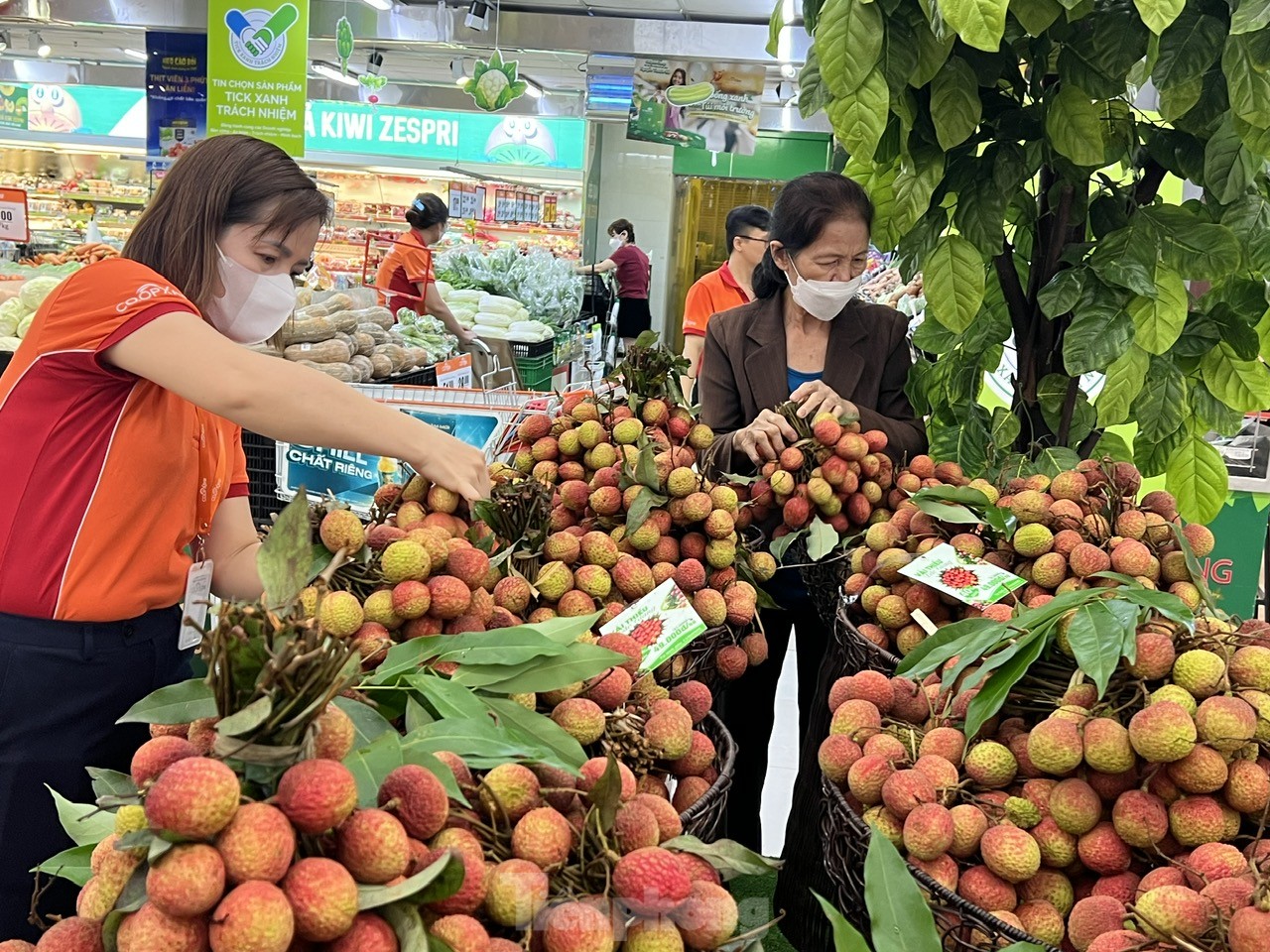 Vải thiều 'phủ đỏ' từ chợ đến siêu thị TPHCM ảnh 1
