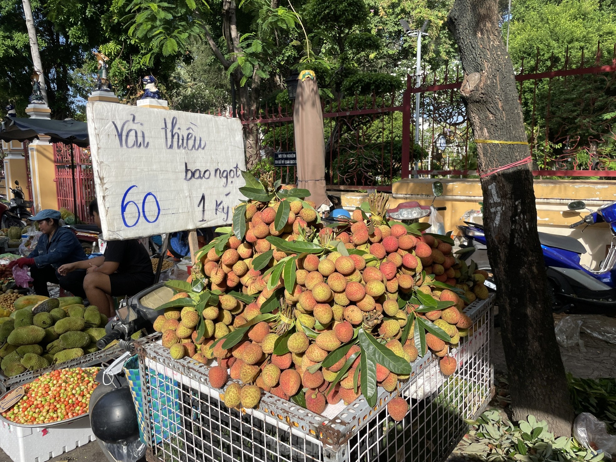 Vải thiều 'phủ đỏ' từ chợ đến siêu thị TPHCM ảnh 7