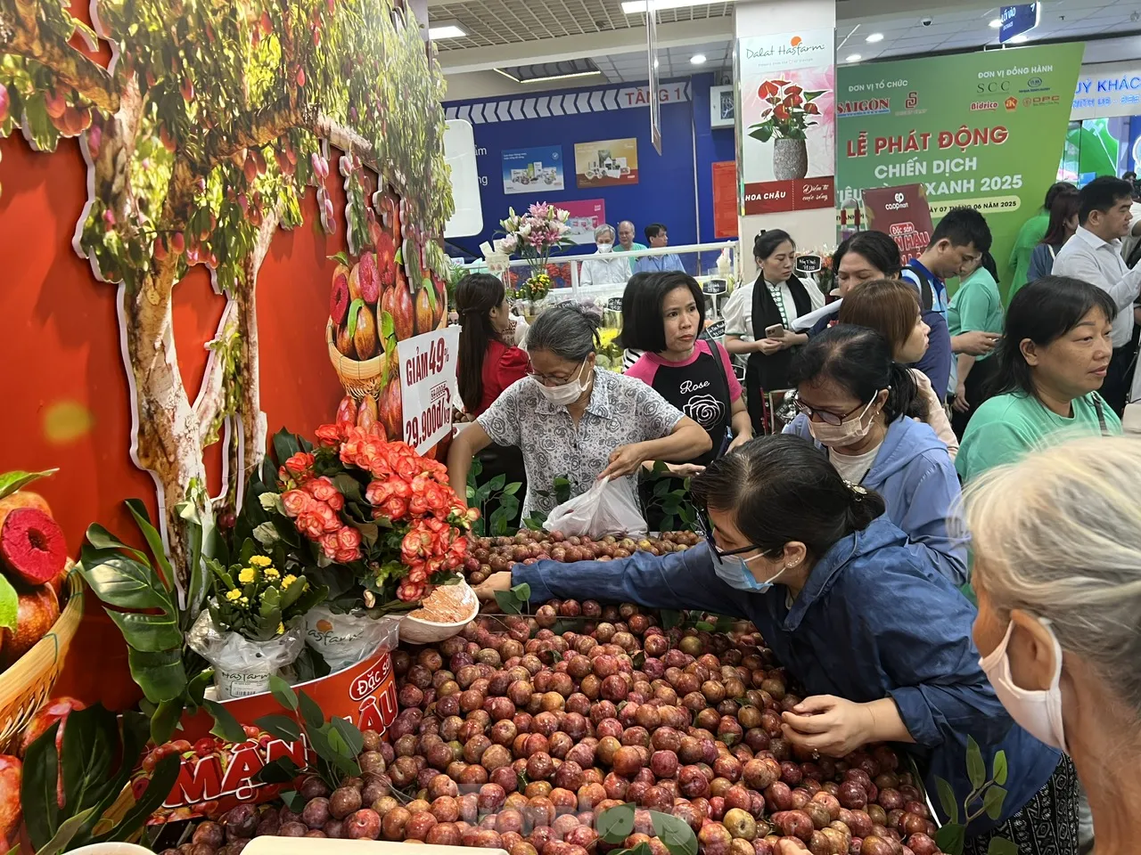 Bất ngờ với giá mận hậu vào mùa ở TPHCM ảnh 3