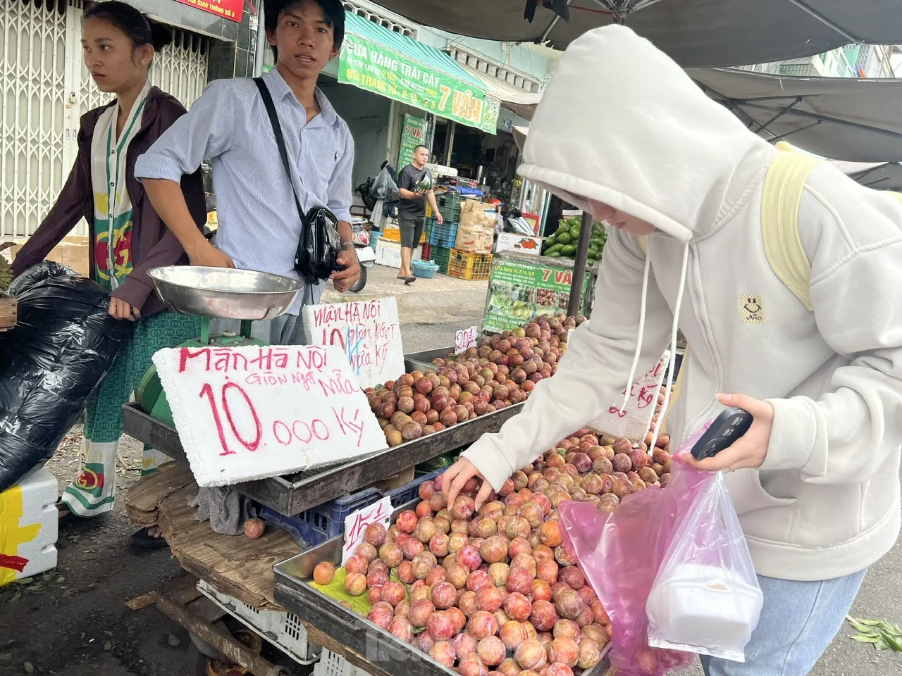 Bất ngờ với giá mận hậu vào mùa ở TPHCM ảnh 7