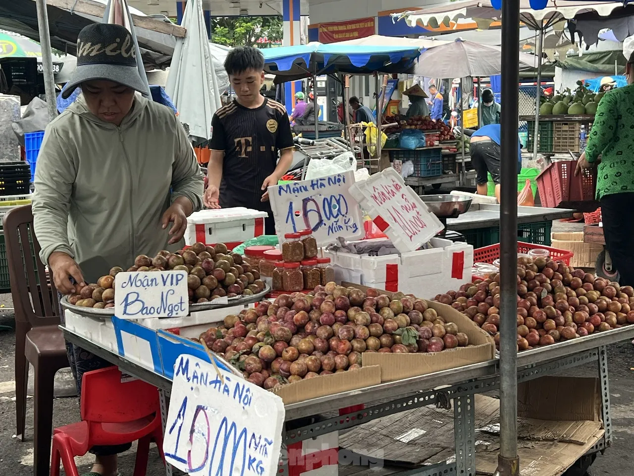 Bất ngờ với giá mận hậu vào mùa ở TPHCM ảnh 5