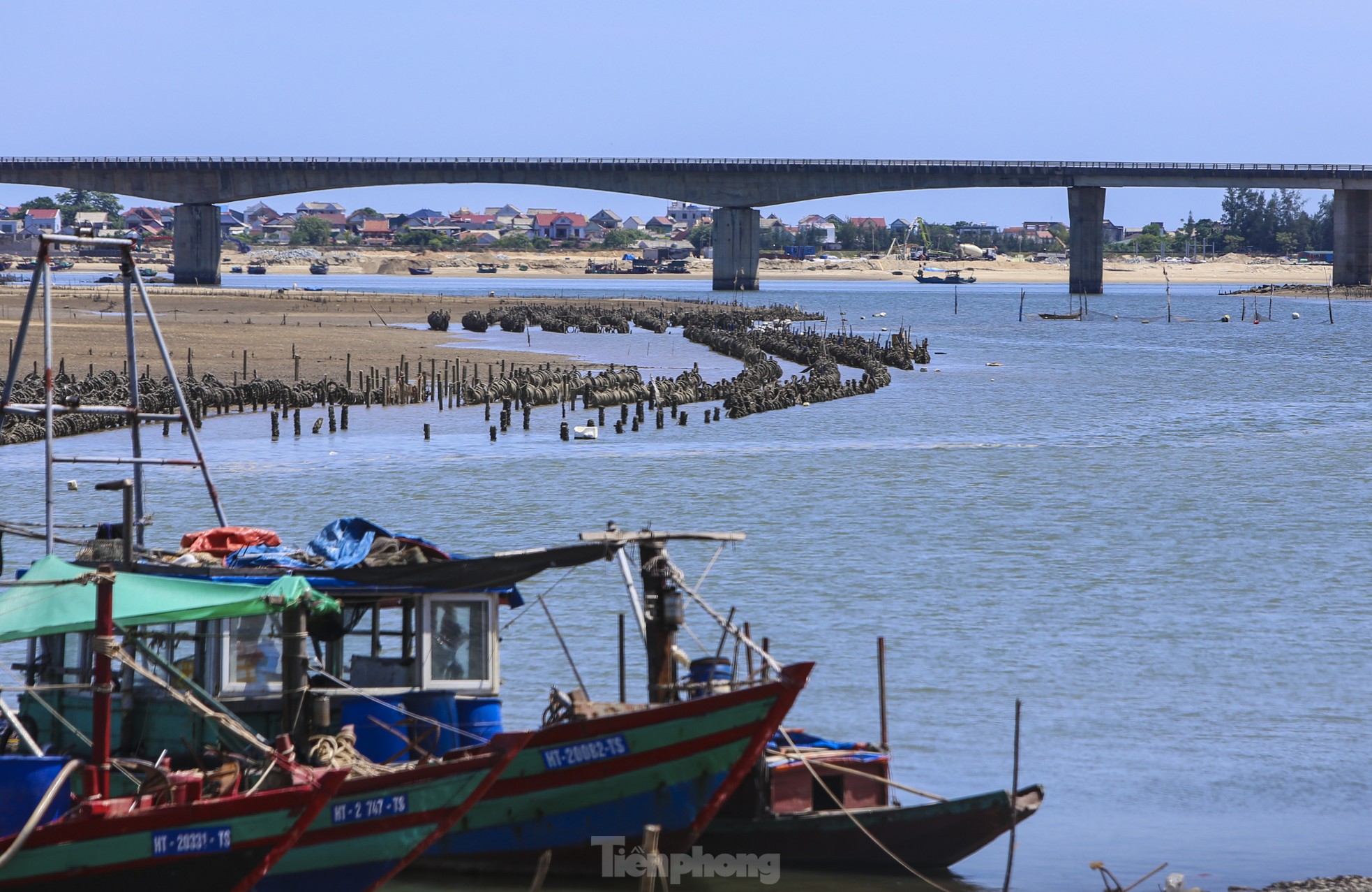 Tận thấy 'trận địa' cọc nuôi hàu chiếm lòng sông ở Hà Tĩnh ảnh 8