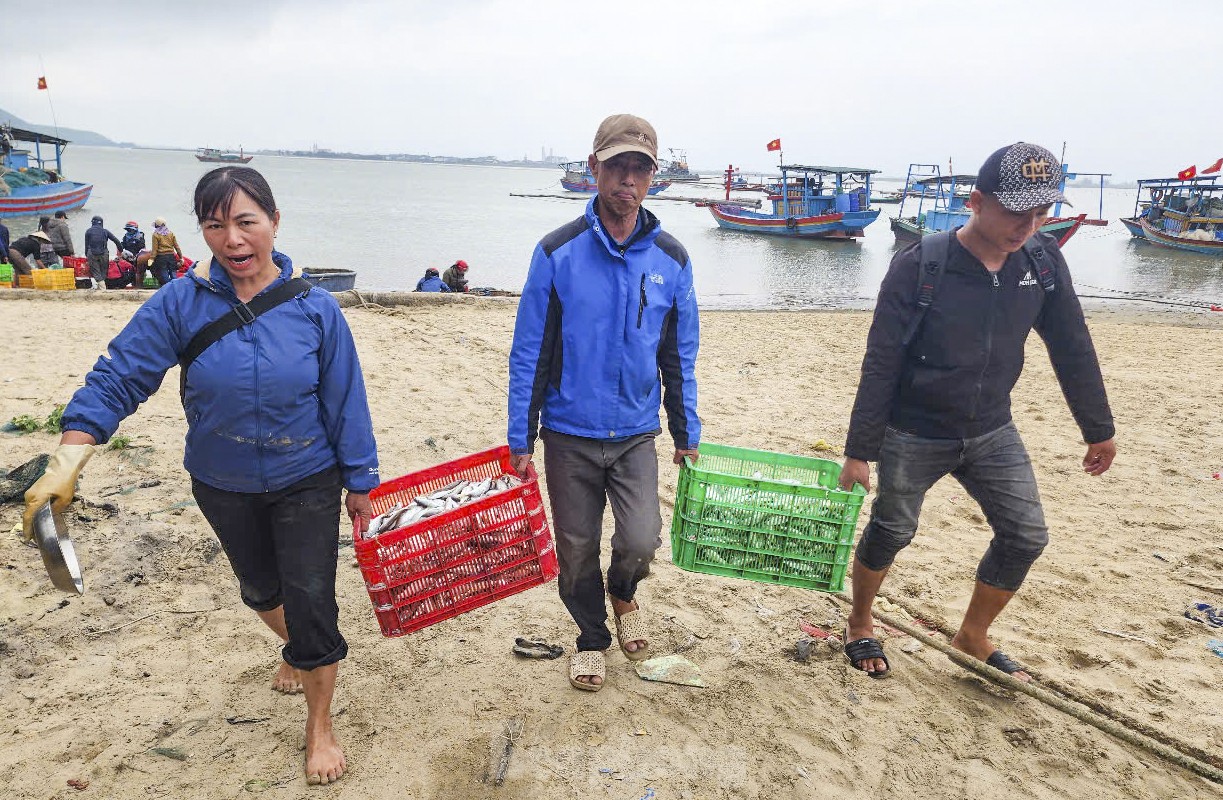 Hai ngày ra khơi, ngư dân Hà Tĩnh trúng đậm hải sản, thu nhập hàng chục triệu đồng ảnh 5