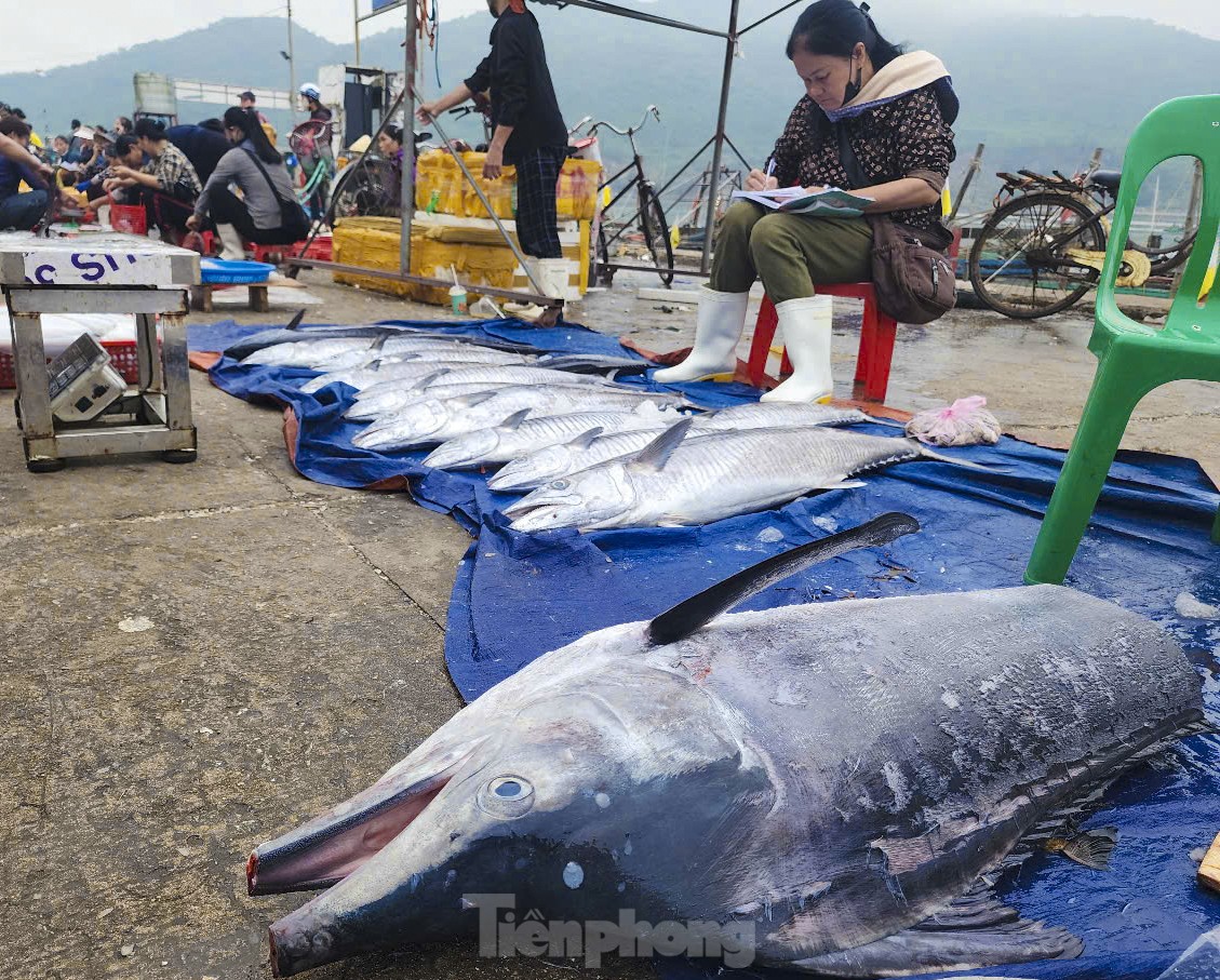 Hải sản tăng giá, ngư dân Hà Tĩnh ra khơi xuyên lễ ảnh 10