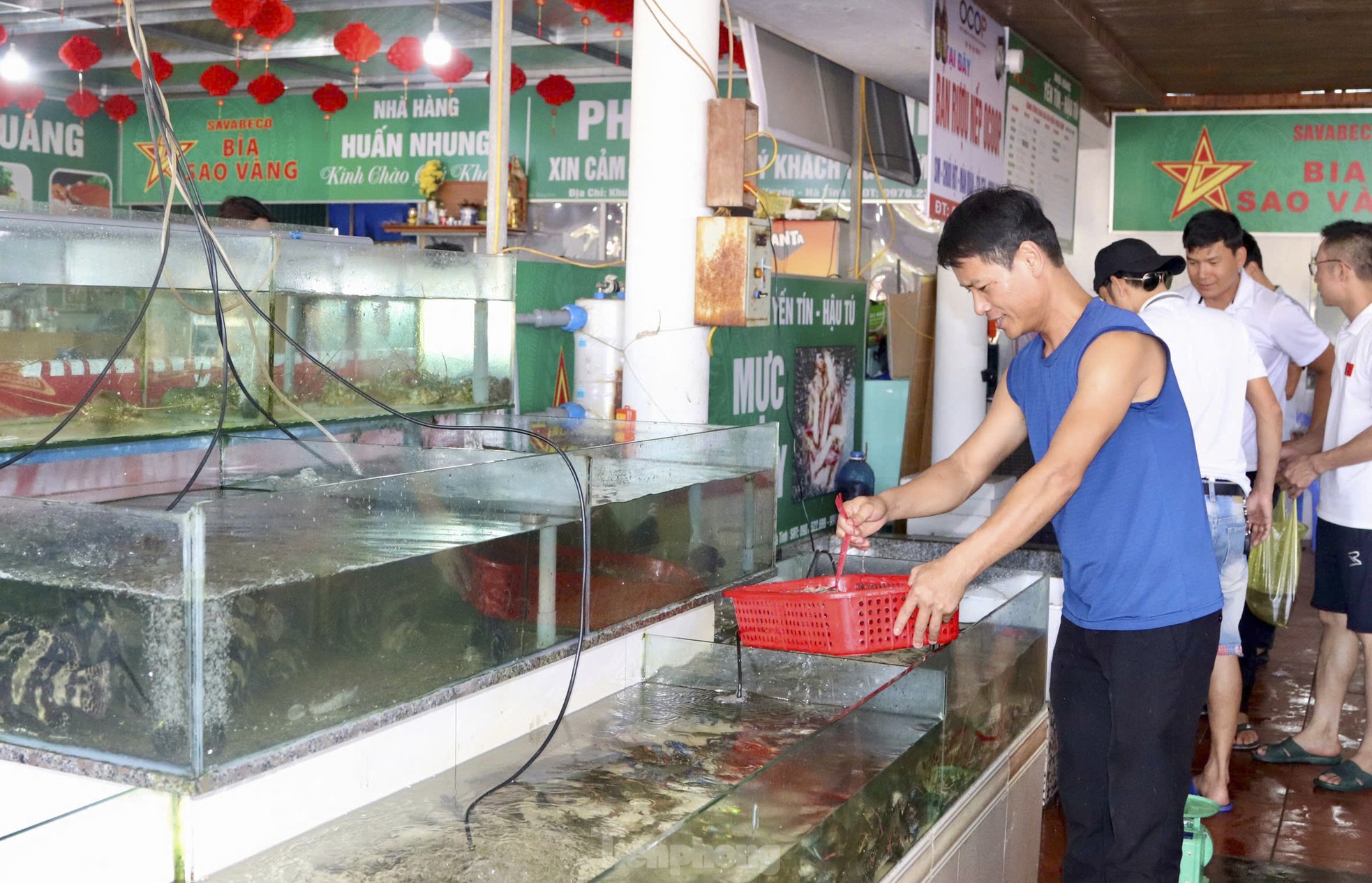Hải sản tăng giá, ngư dân Hà Tĩnh ra khơi xuyên lễ ảnh 13