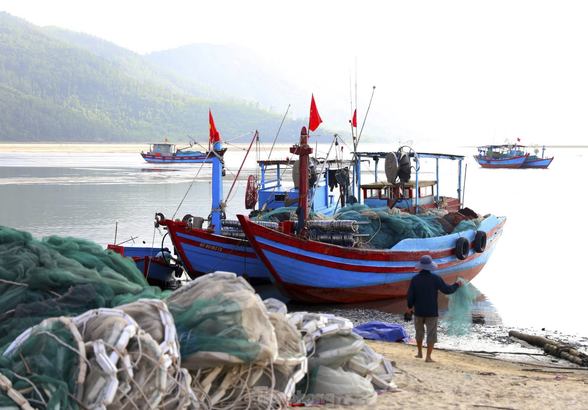 Hải sản tăng giá, ngư dân Hà Tĩnh ra khơi xuyên lễ ảnh 6