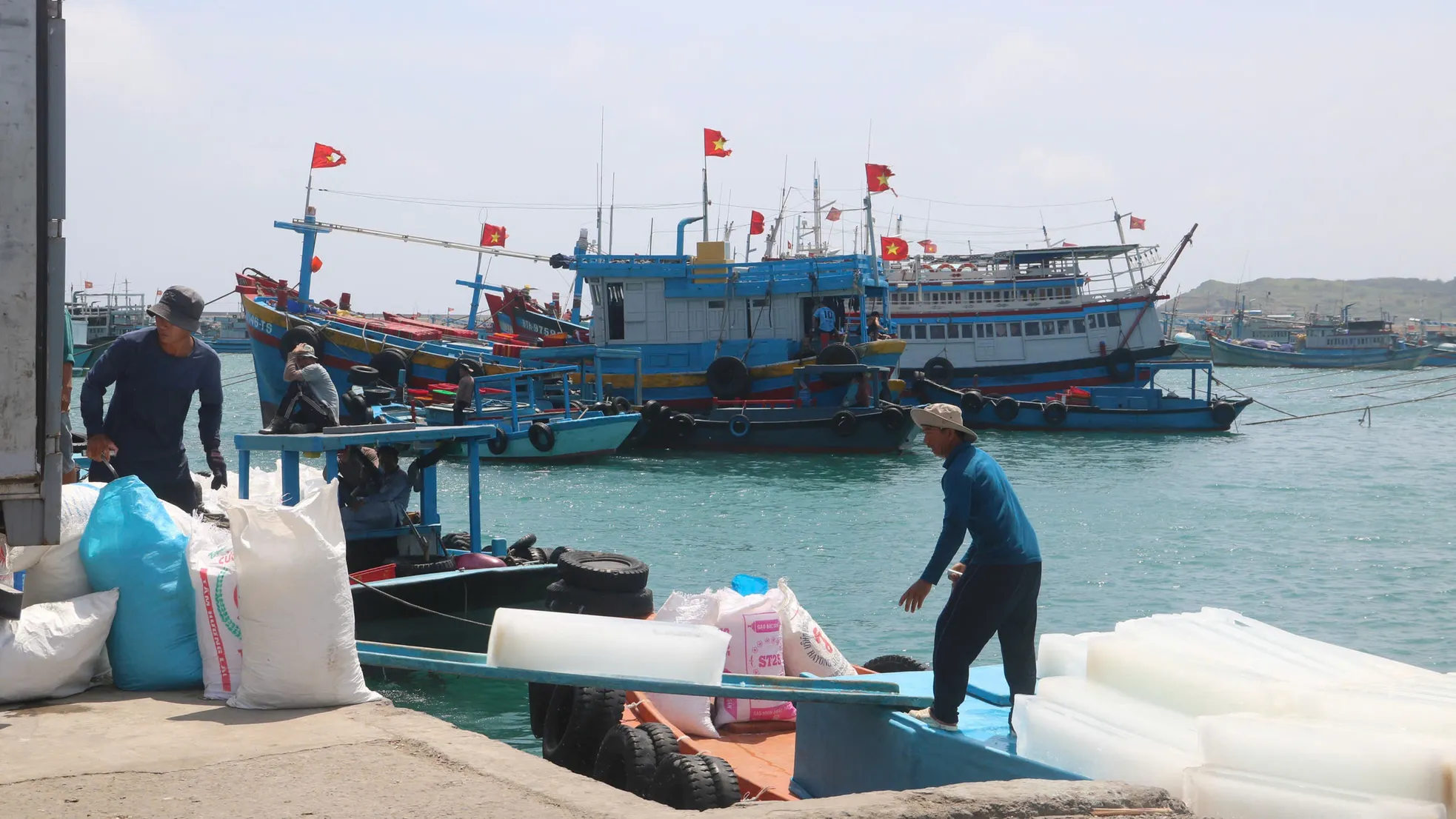 Tàu nối tàu, cá nối cá: Ngư dân Lâm Đồng phấn khởi vì 'trúng to' ảnh 1