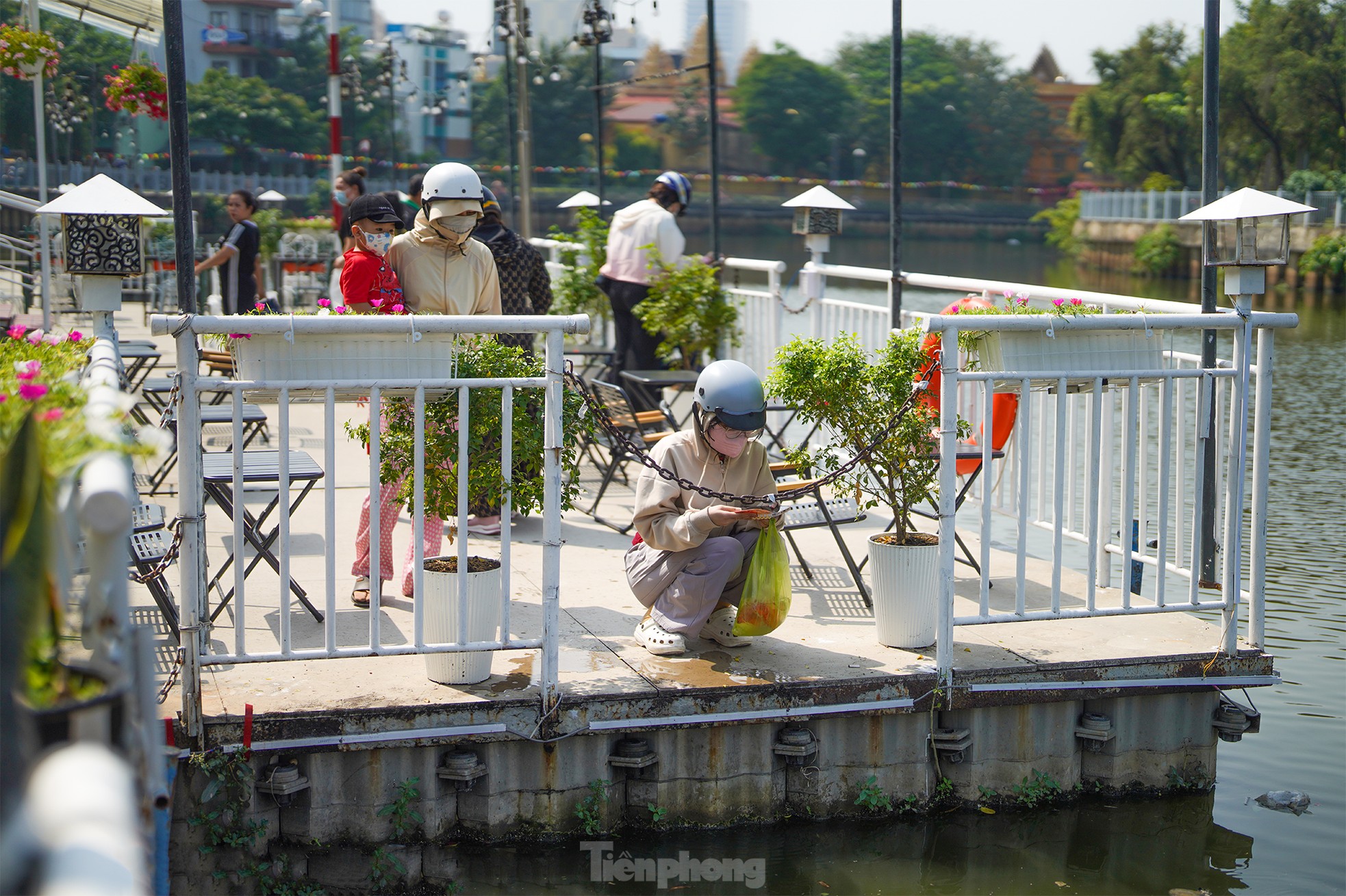 Người dân đi thả cá đưa ông Táo về trời ảnh 5