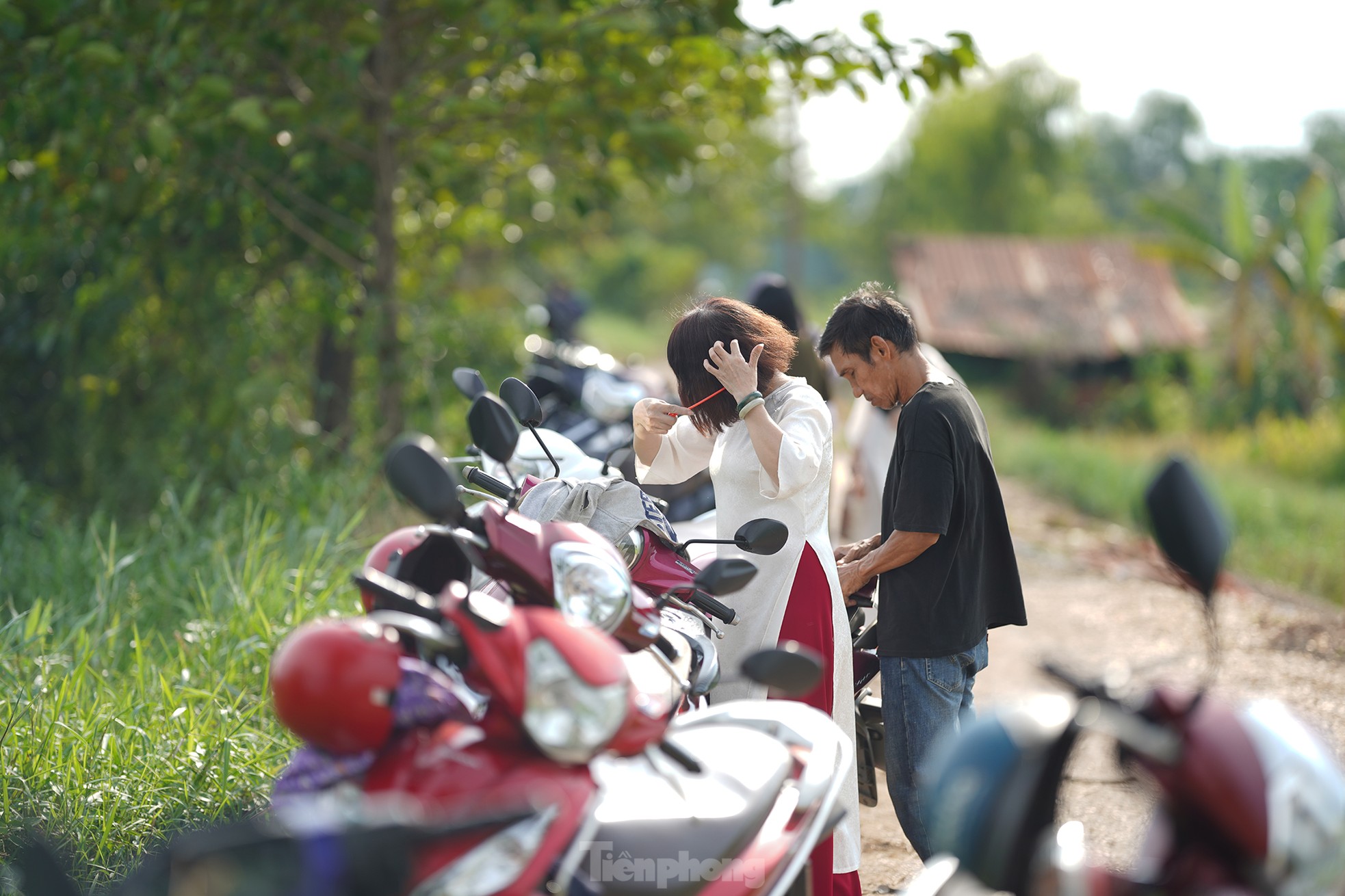 Cận cảnh 'cây phượng cô đơn' gây sốt cộng đồng mạng ở TPHCM ảnh 9