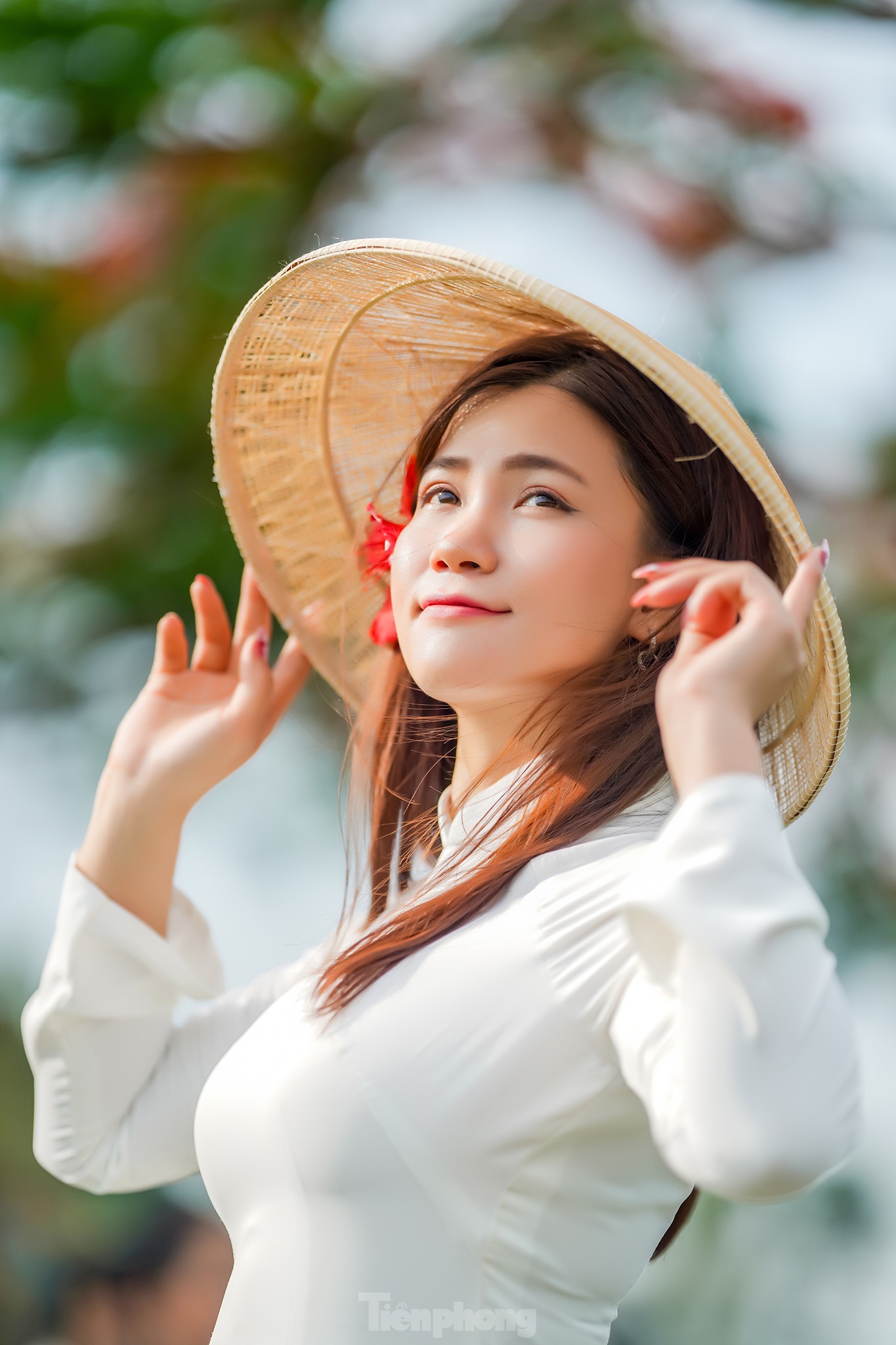 Cận cảnh 'cây phượng cô đơn' gây sốt cộng đồng mạng ở TPHCM ảnh 19