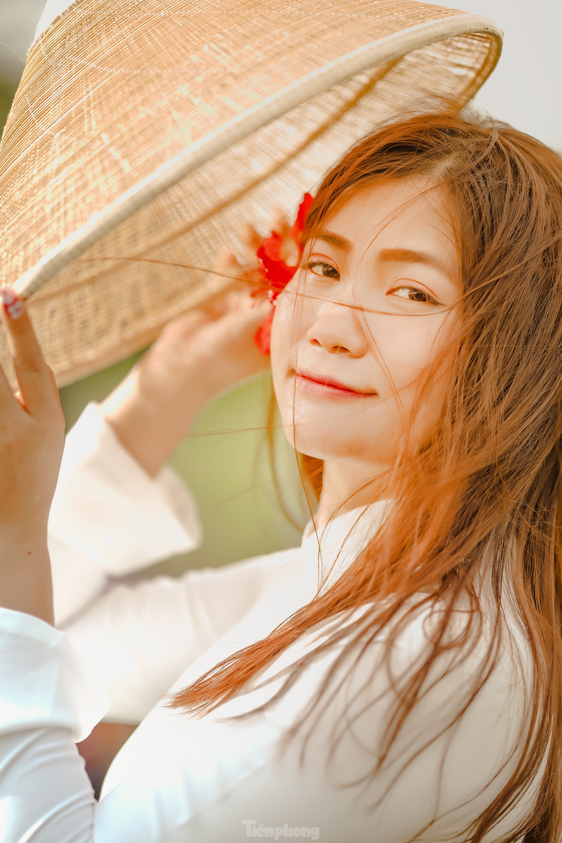 Cận cảnh 'cây phượng cô đơn' gây sốt cộng đồng mạng ở TPHCM ảnh 17