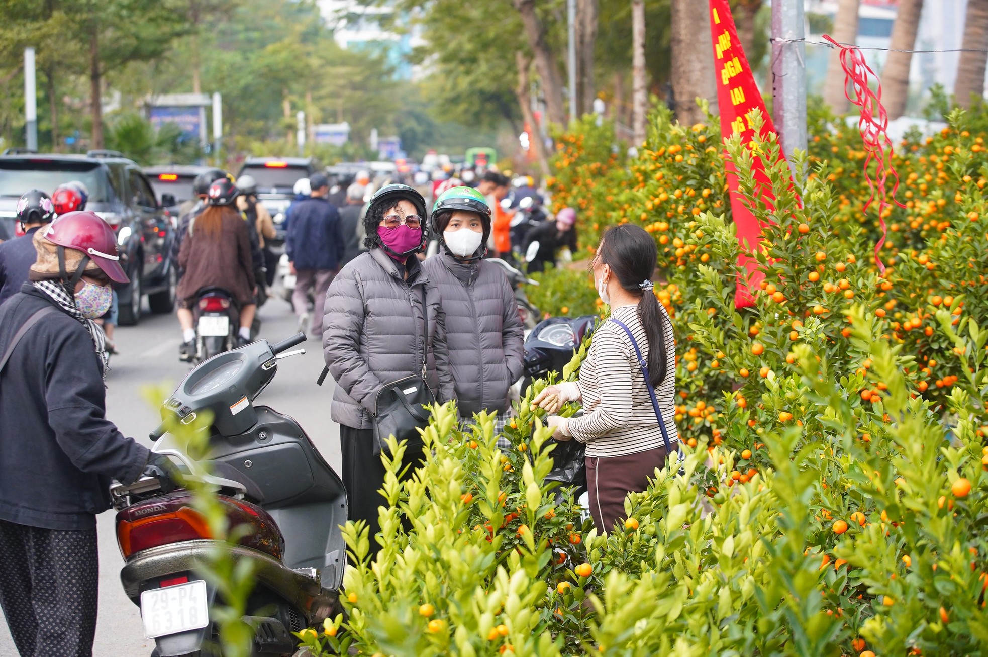 Ngày đầu kỳ nghỉ Tết Nguyên đán, người dân hồ hởi xuống phố 'săn' đào, quất ảnh 15