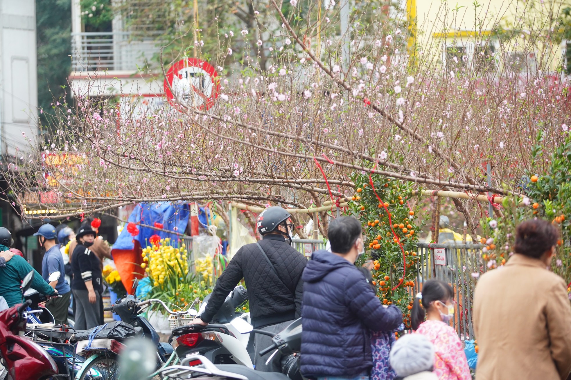 Ngày đầu kỳ nghỉ Tết Nguyên đán, người dân hồ hởi xuống phố 'săn' đào, quất ảnh 23