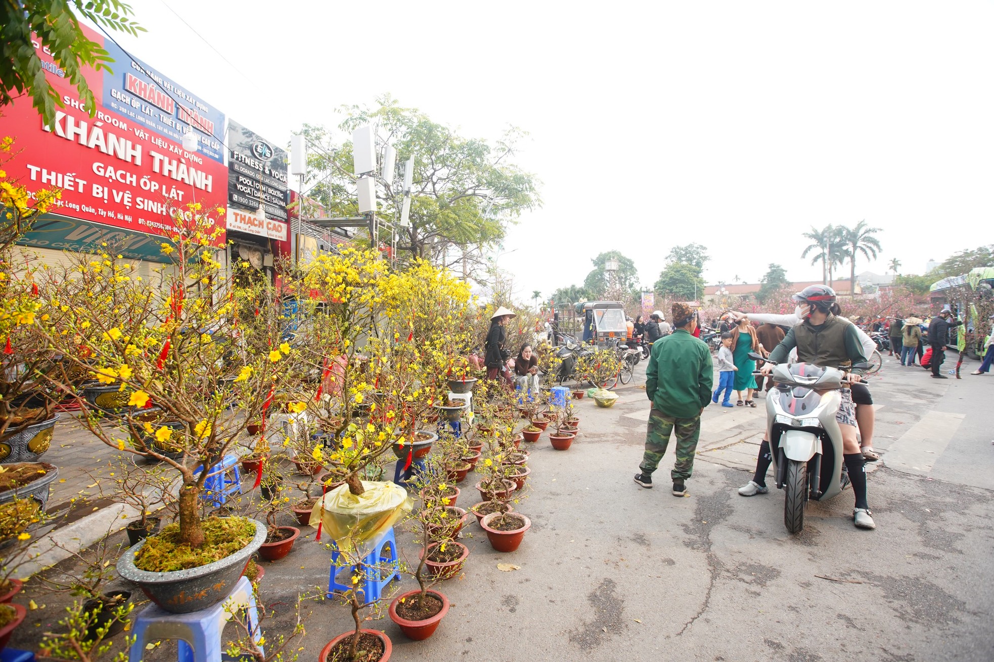 Hà Nội: Mai vàng ế ẩm, tiểu thương giảm giá, xả hàng sớm ảnh 12