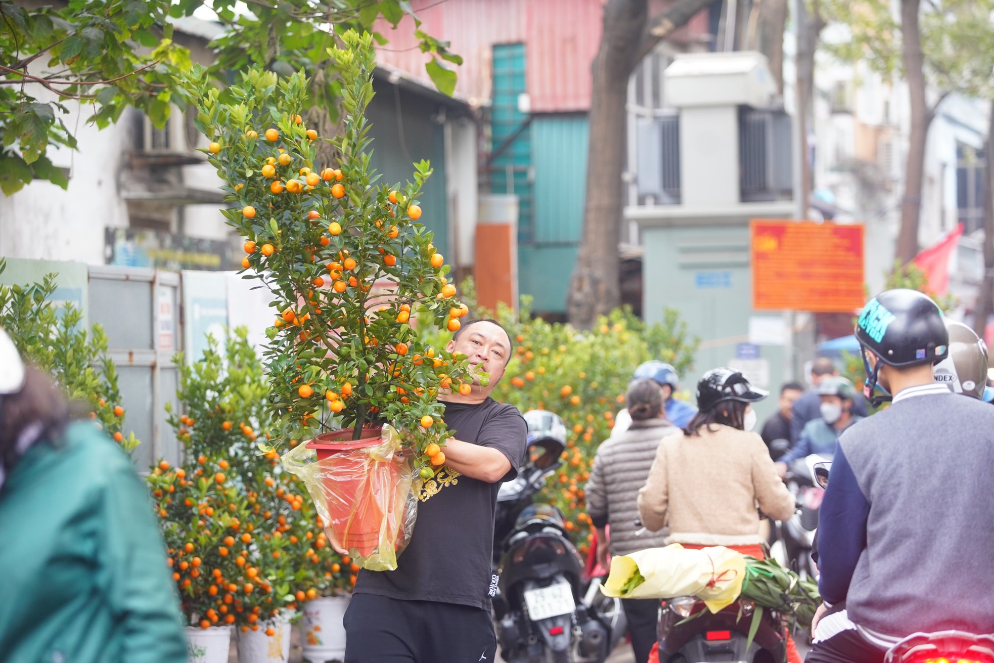 Ngày đầu kỳ nghỉ Tết Nguyên đán, người dân hồ hởi xuống phố 'săn' đào, quất ảnh 21