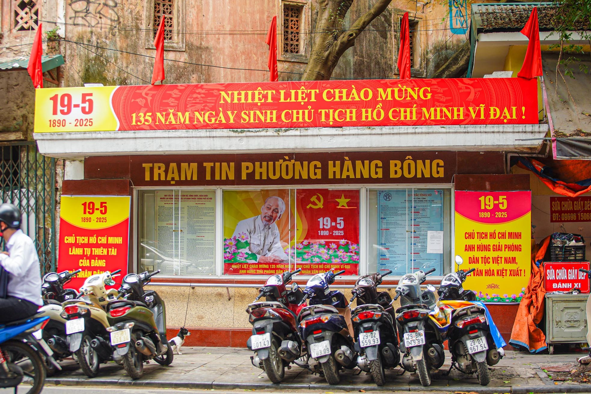 Hà Nội rực rỡ cờ hoa kỷ niệm 135 năm Ngày sinh Chủ tịch Hồ Chí Minh ảnh 12