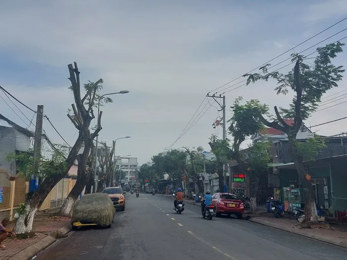 Hình ảnh hàng cây bị đốn hạ, cắt tỉa trơ trụi trên đường phố Dĩ An, Bình Dương ảnh 6