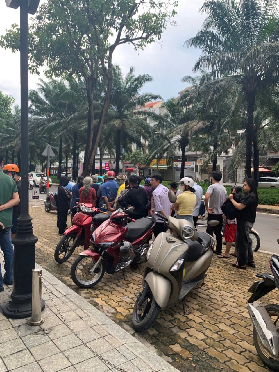 Điểm bán cua hấp trên vỉa hè TPHCM có gì đặc biệt mà khách chen kín mỗi chiều? ảnh 1