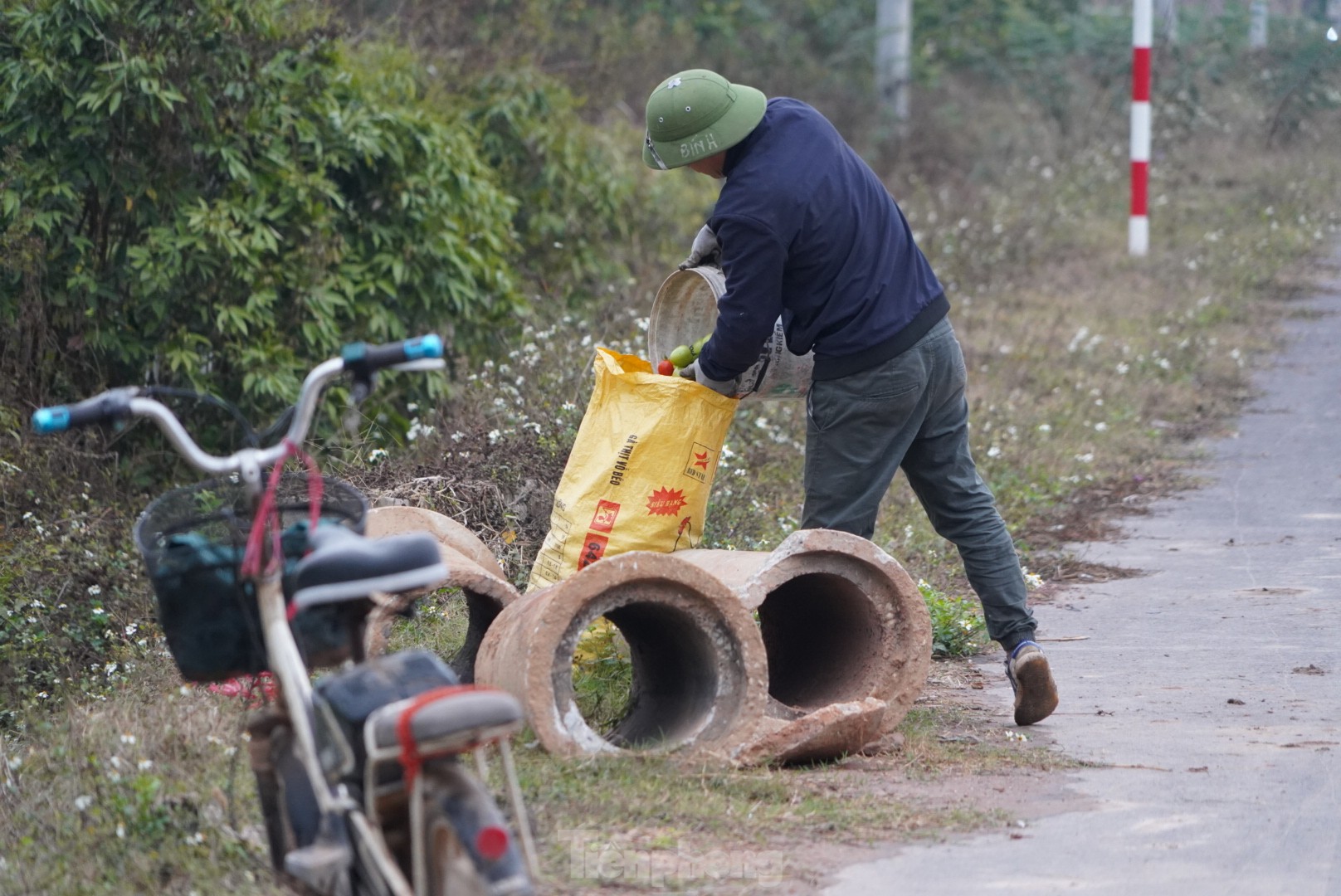 Hàng chục tấn cà chua chín đầy vườn không người mua ảnh 10