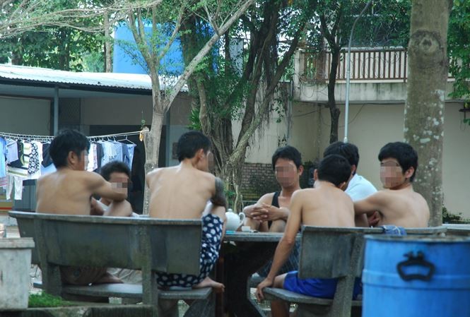 Nỗi ám ảnh mang tên “ngáo đá” ảnh 4