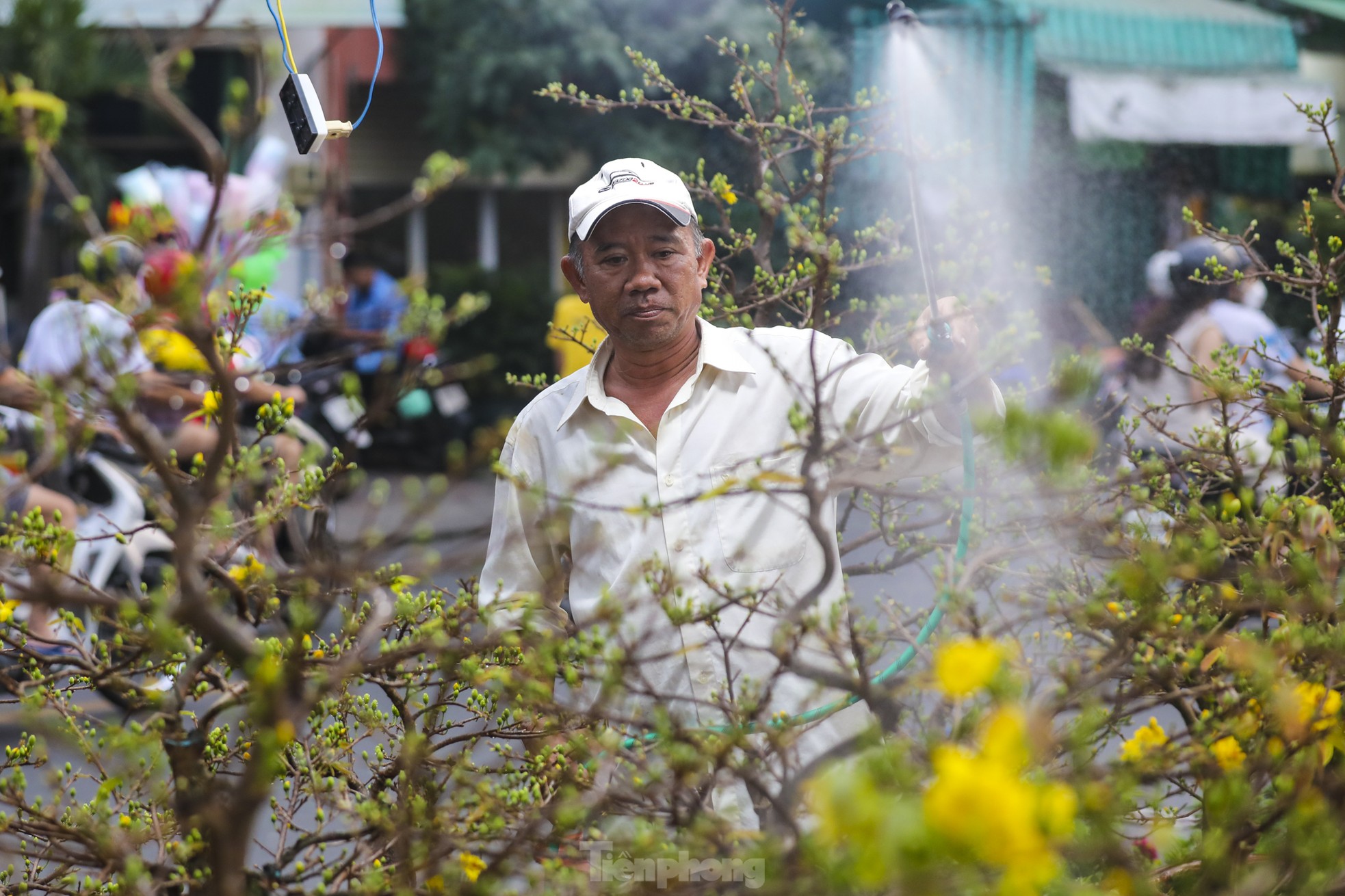 Chợ hoa bến Bình Đông giảm sâu, người dân vẫn hỏi nhiều hơn mua ảnh 1