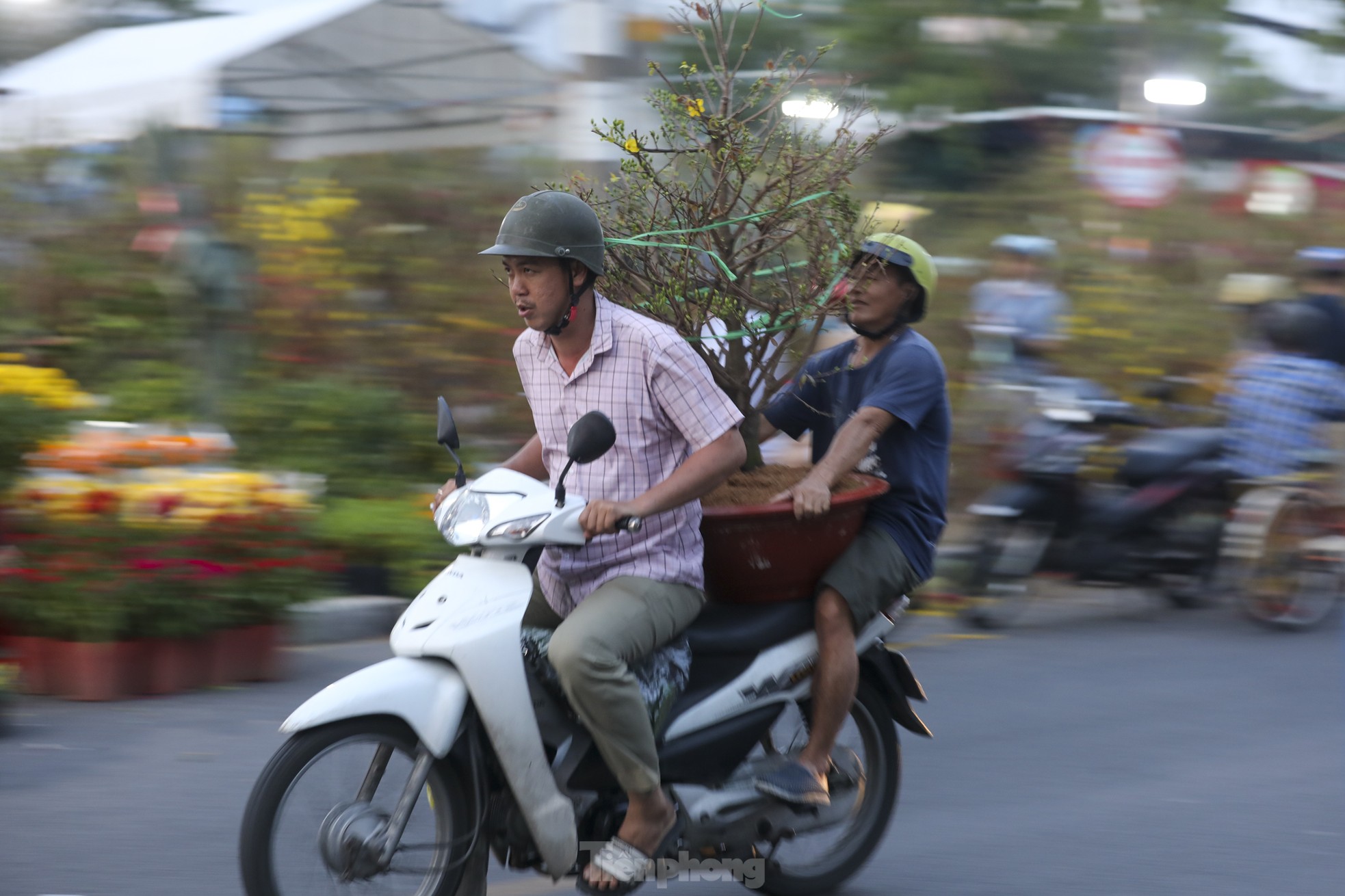 Chợ hoa bến Bình Đông giảm sâu, người dân vẫn hỏi nhiều hơn mua ảnh 5