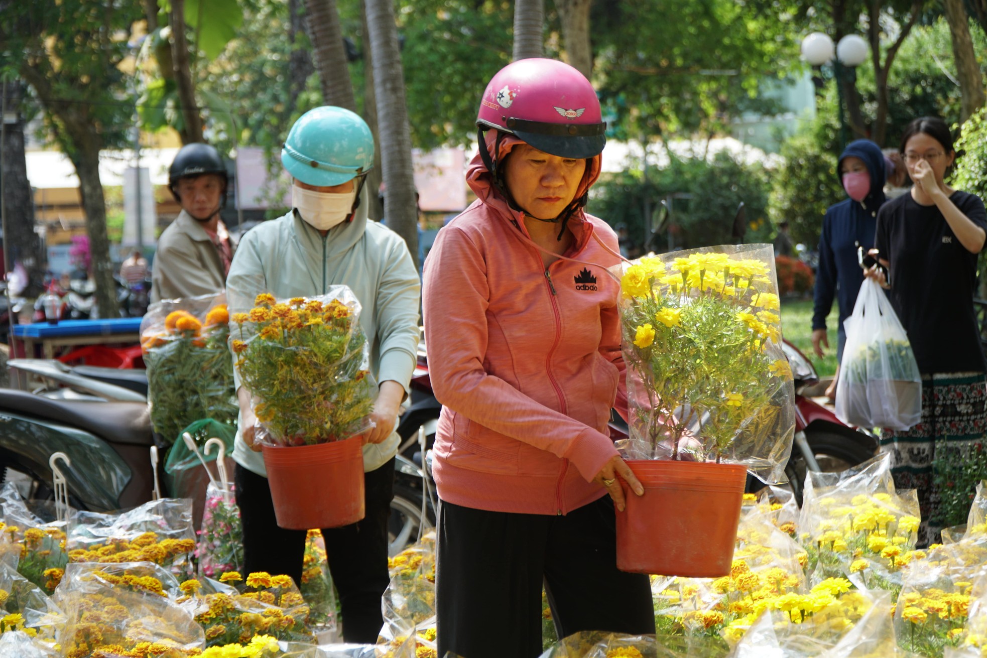 Ngày 29 Tết: Cứ 30 phút tiểu thương lại giảm giá cây để 'hút khách' ảnh 3