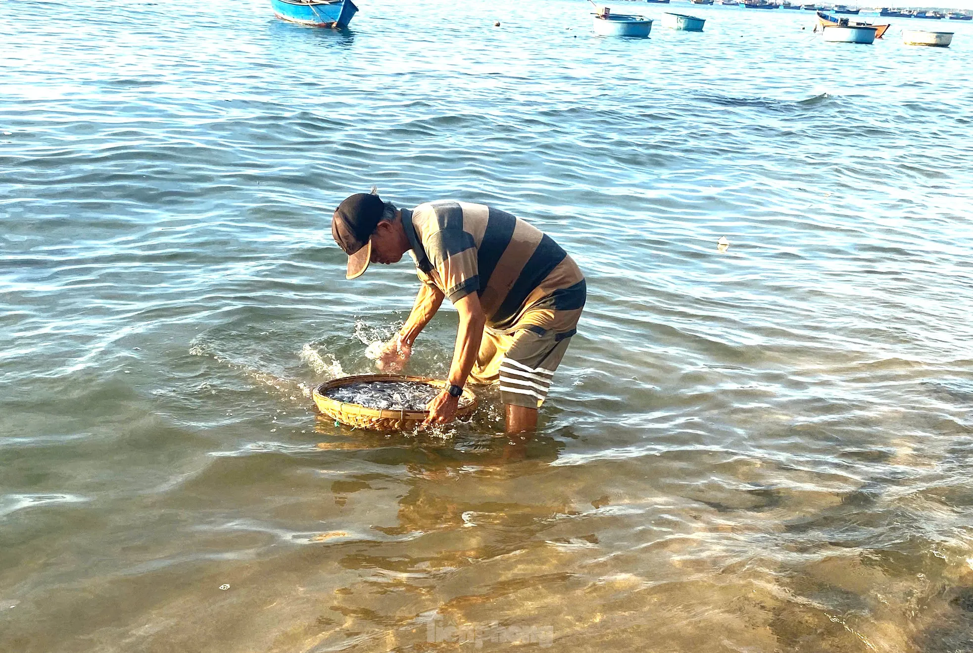 Ngày mới nhộn nhịp ở làng chài trăm tuổi Đắk Lắk ảnh 6