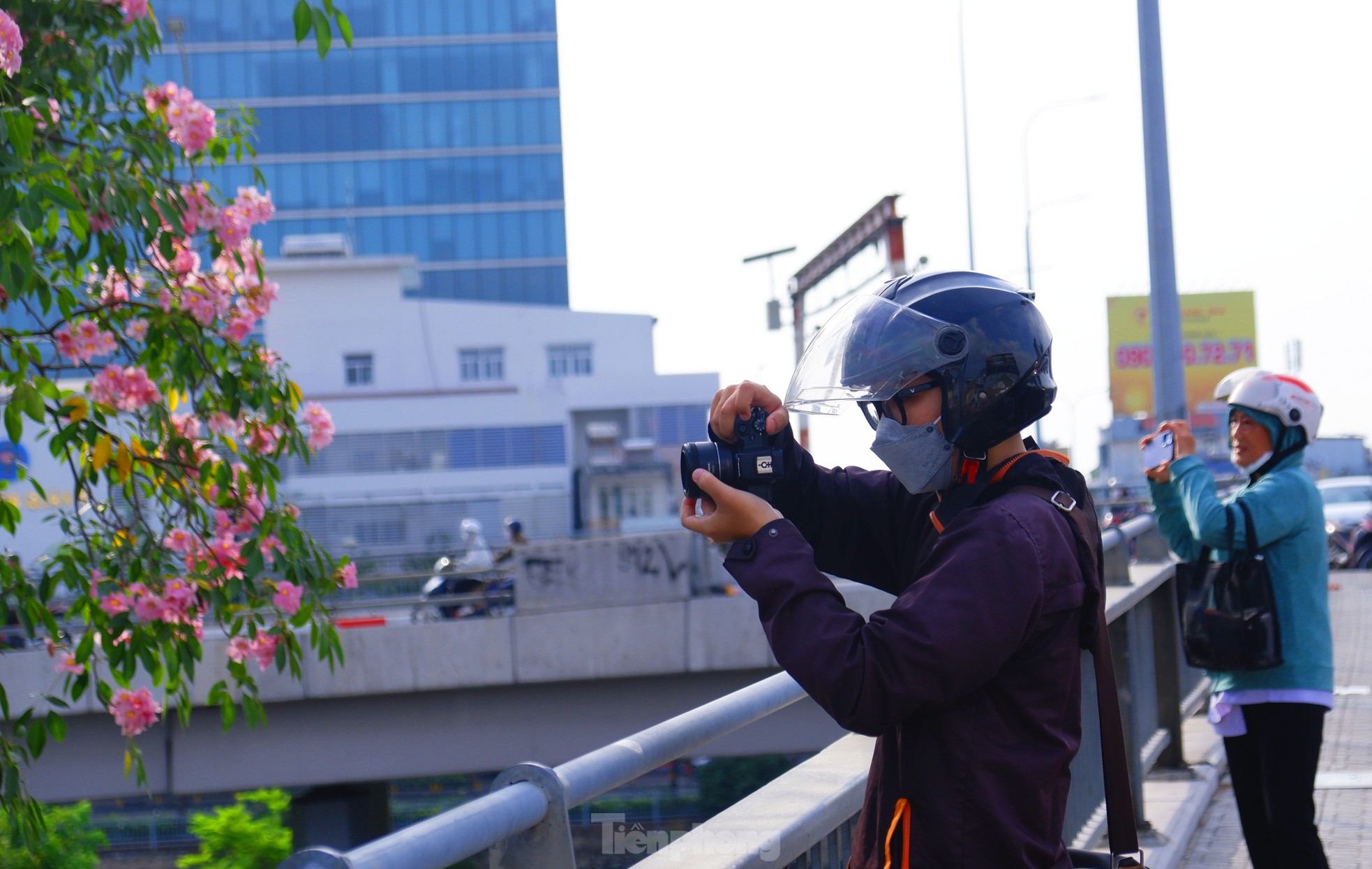 Hoa kèn hồng nở rực trên nhiều tuyến đường ở TPHCM, hút người dân 'check-in' ảnh 4