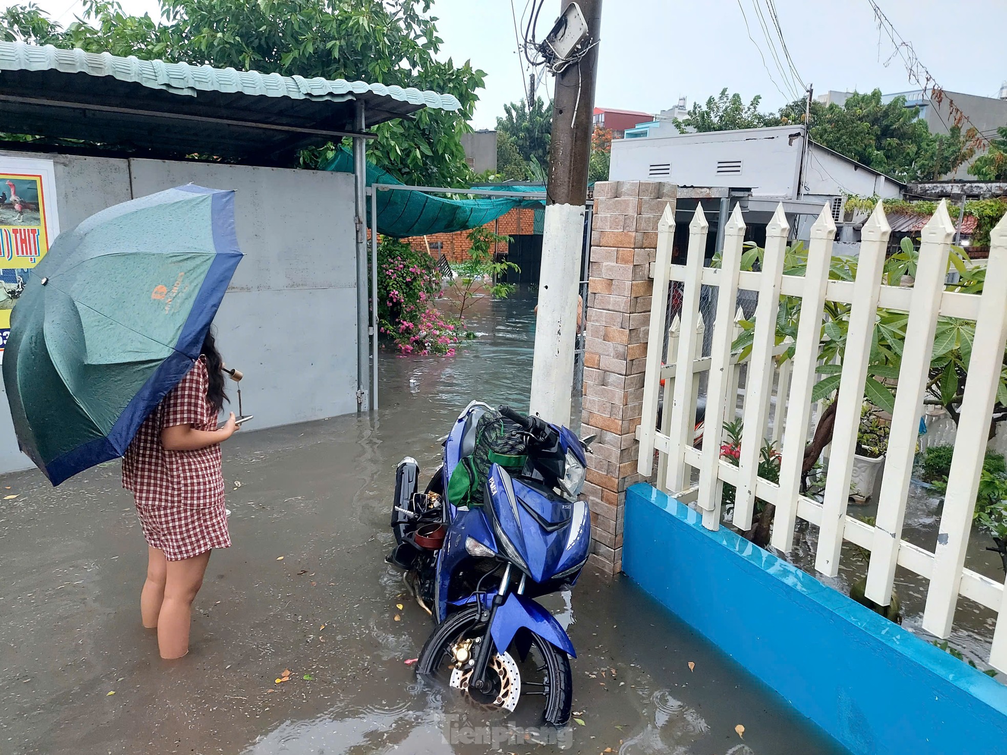 TPHCM: Mưa lớn đầu mùa, người dân 'chạy ngập' ảnh 9