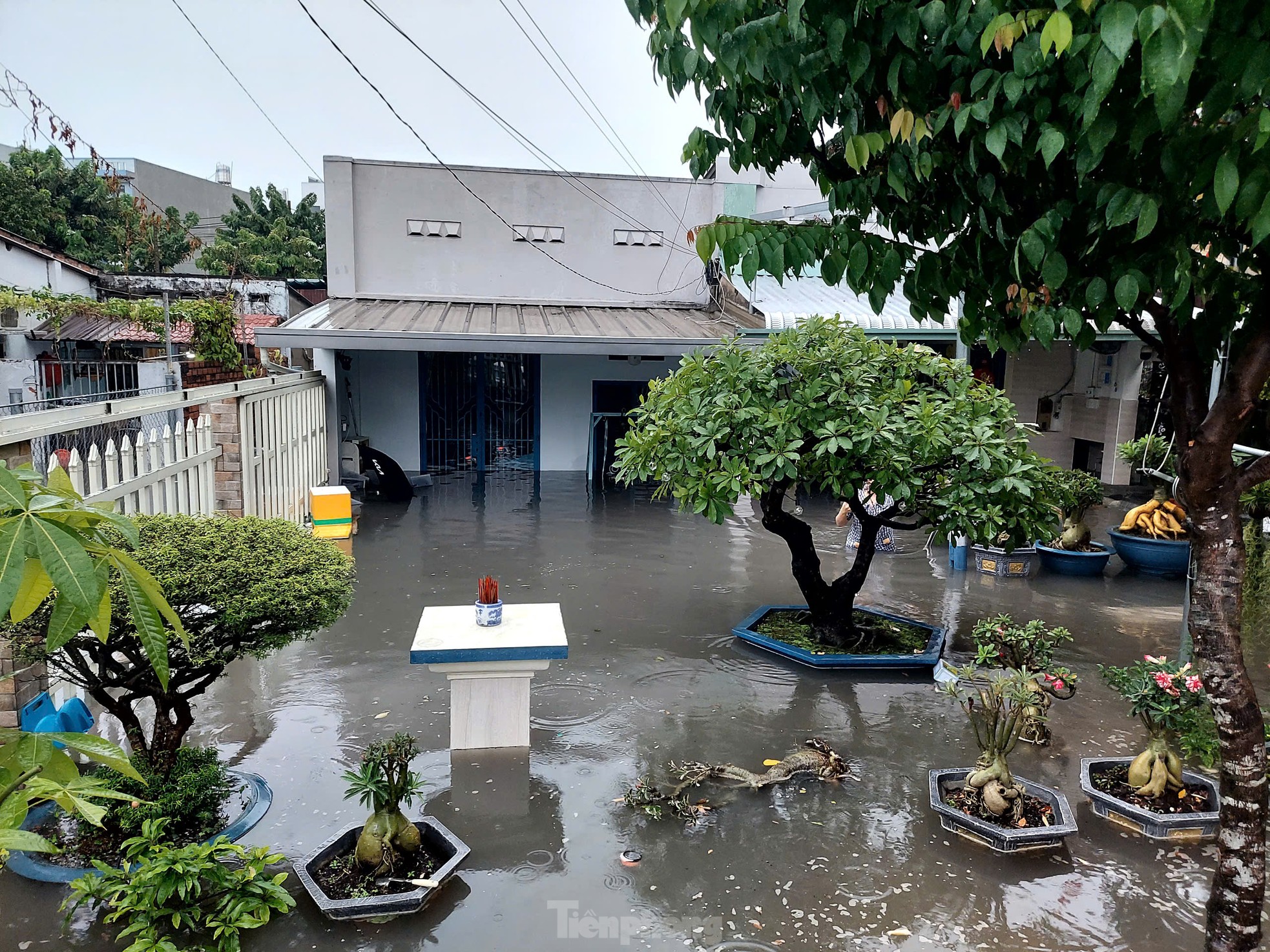 TPHCM: Mưa lớn đầu mùa, người dân 'chạy ngập' ảnh 3