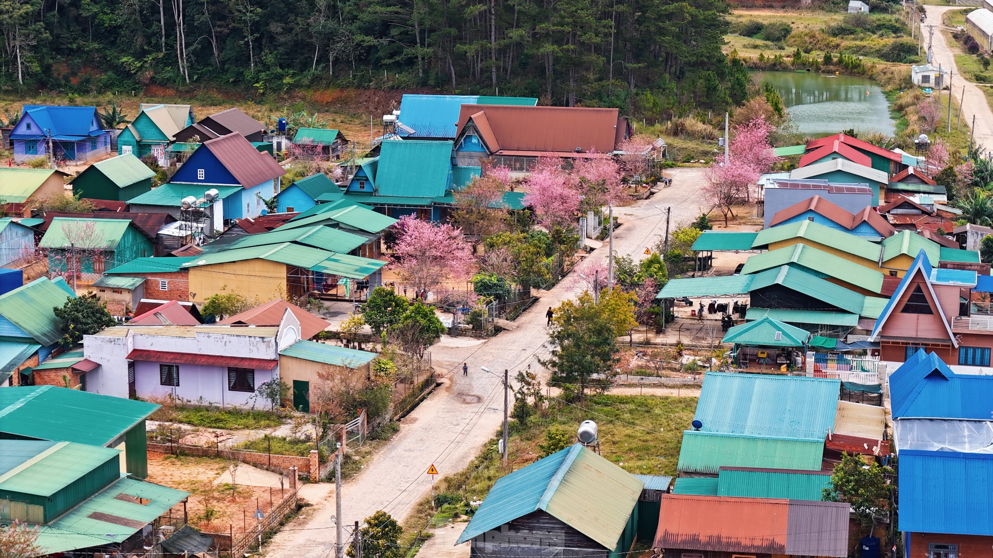 Hoa đào rực rỡ quanh ngôi làng nhỏ trên cao nguyên- Ảnh 6.