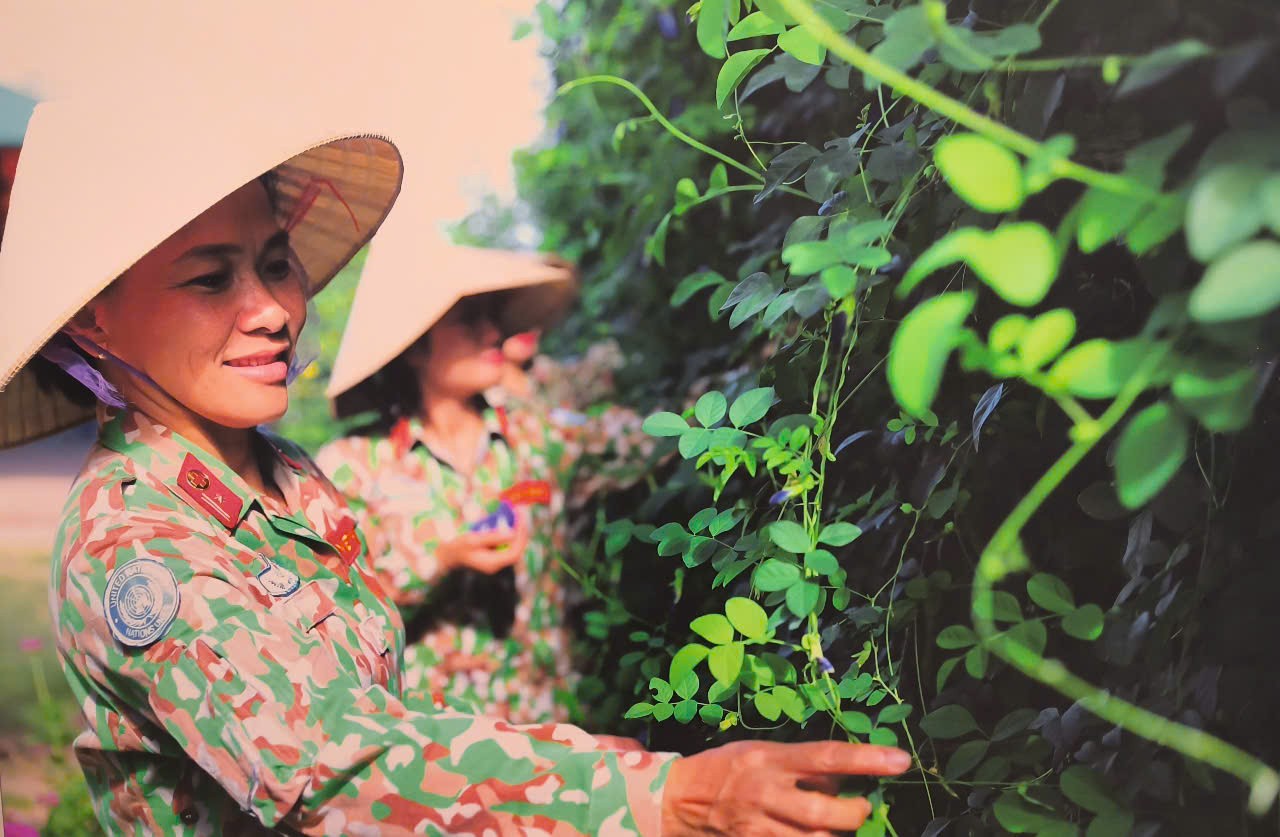 ‘Hành trình vì hòa bình’ của tướng Vịnh và đội quân mũ nồi xanh ảnh 2