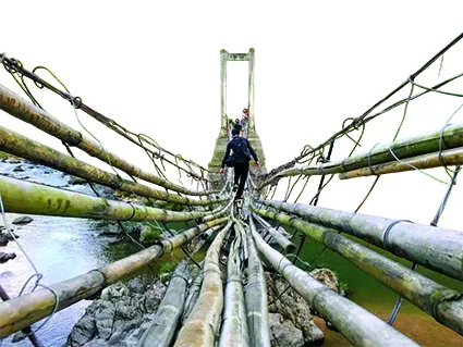 Vẫn sẽ cầm máy ảnh, lội bùn, bám rừng... ảnh 5