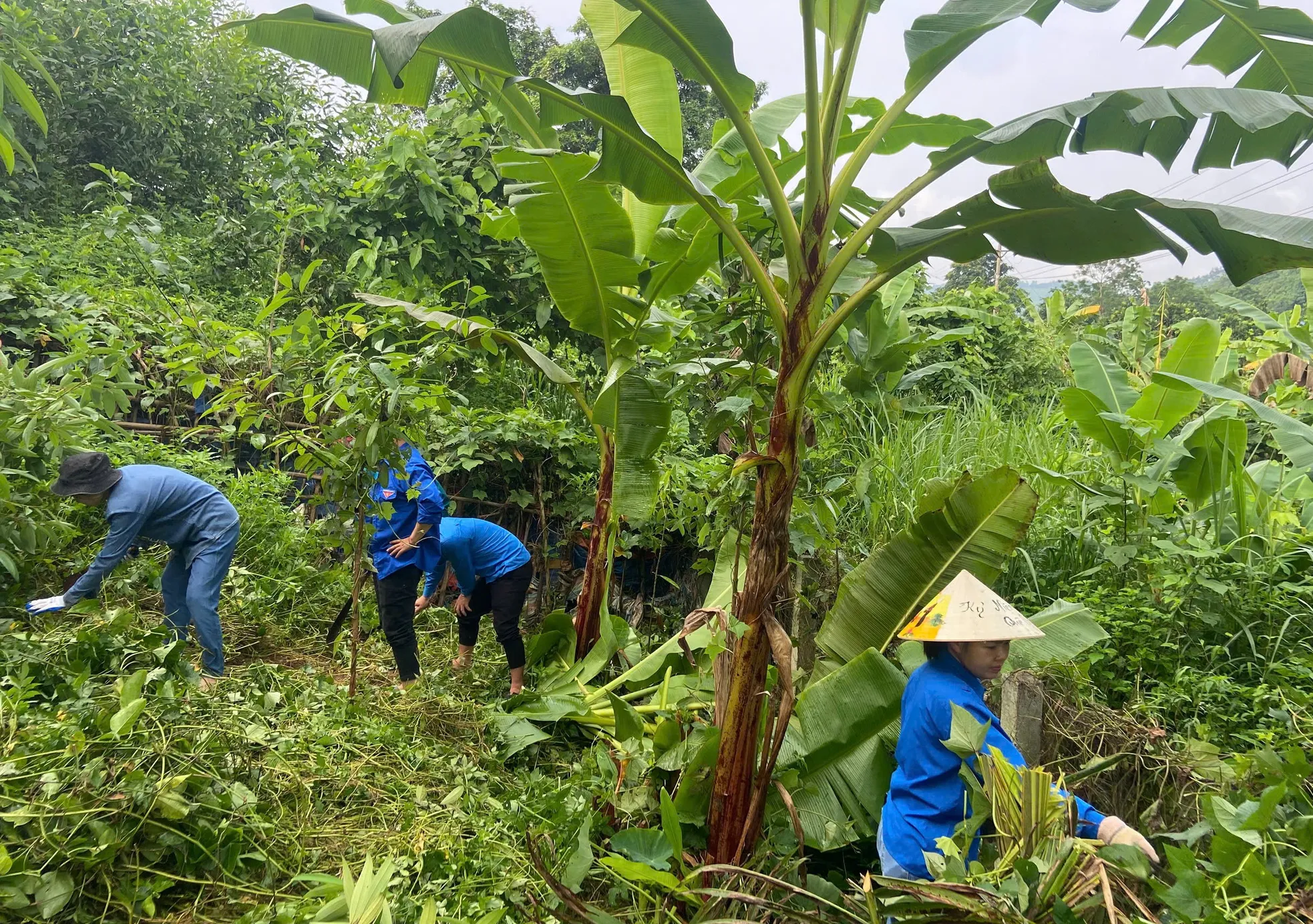 'Áo xanh' Tuyên Quang đến tận nhà hỗ trợ người dân nộp giấy tờ ảnh 12