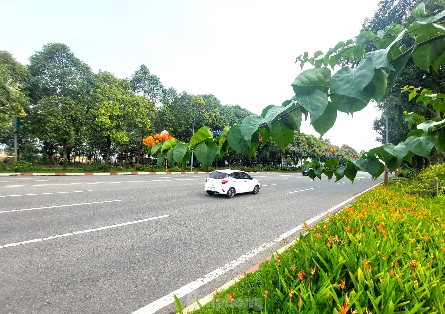 Ngắm tuyến đường như dải lụa nhiều làn nhất Bình Dương vừa được điều chỉnh tốc độ ảnh 9