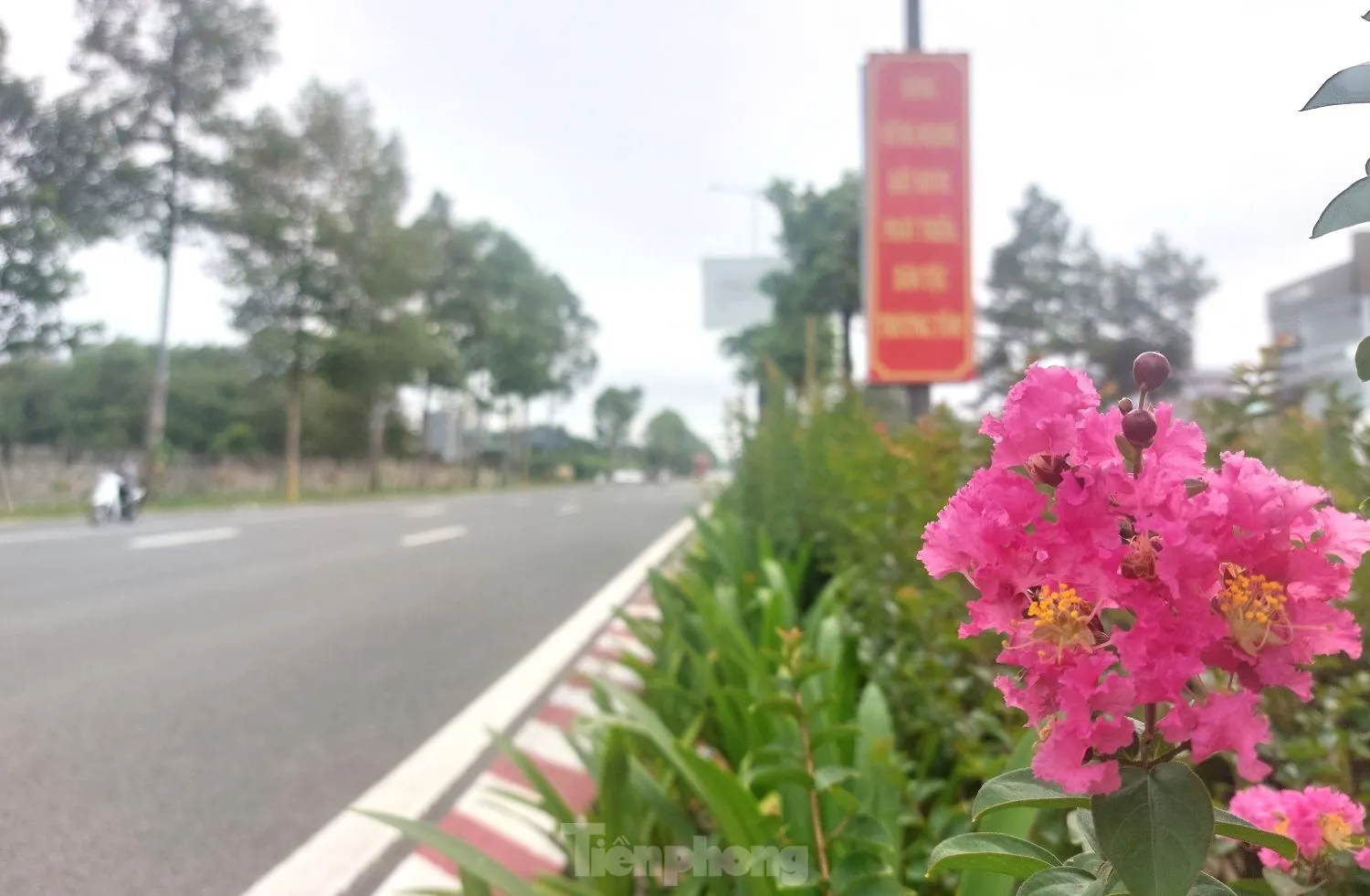 Ngắm tuyến đường như dải lụa nhiều làn nhất Bình Dương vừa được điều chỉnh tốc độ ảnh 5