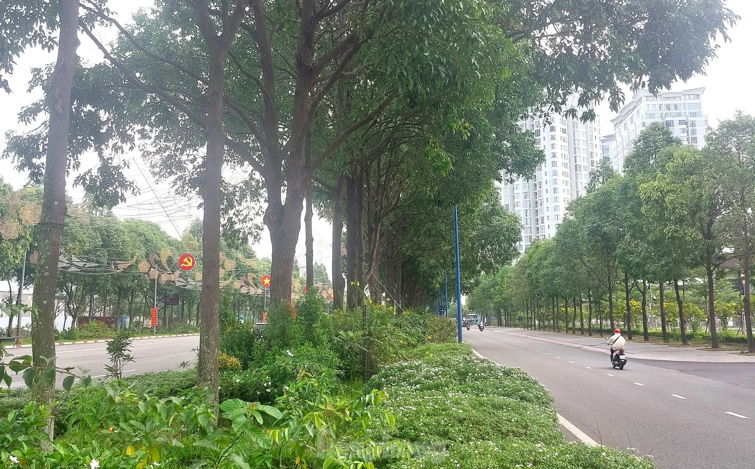Ngắm tuyến đường như dải lụa nhiều làn nhất Bình Dương vừa được điều chỉnh tốc độ ảnh 12