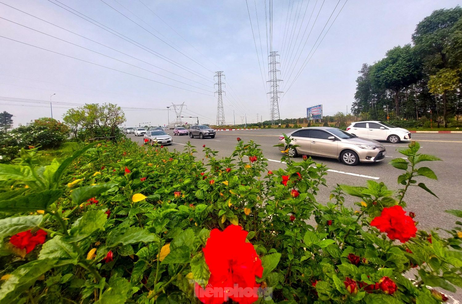Ngắm tuyến đường như dải lụa nhiều làn nhất Bình Dương vừa được điều chỉnh tốc độ ảnh 11