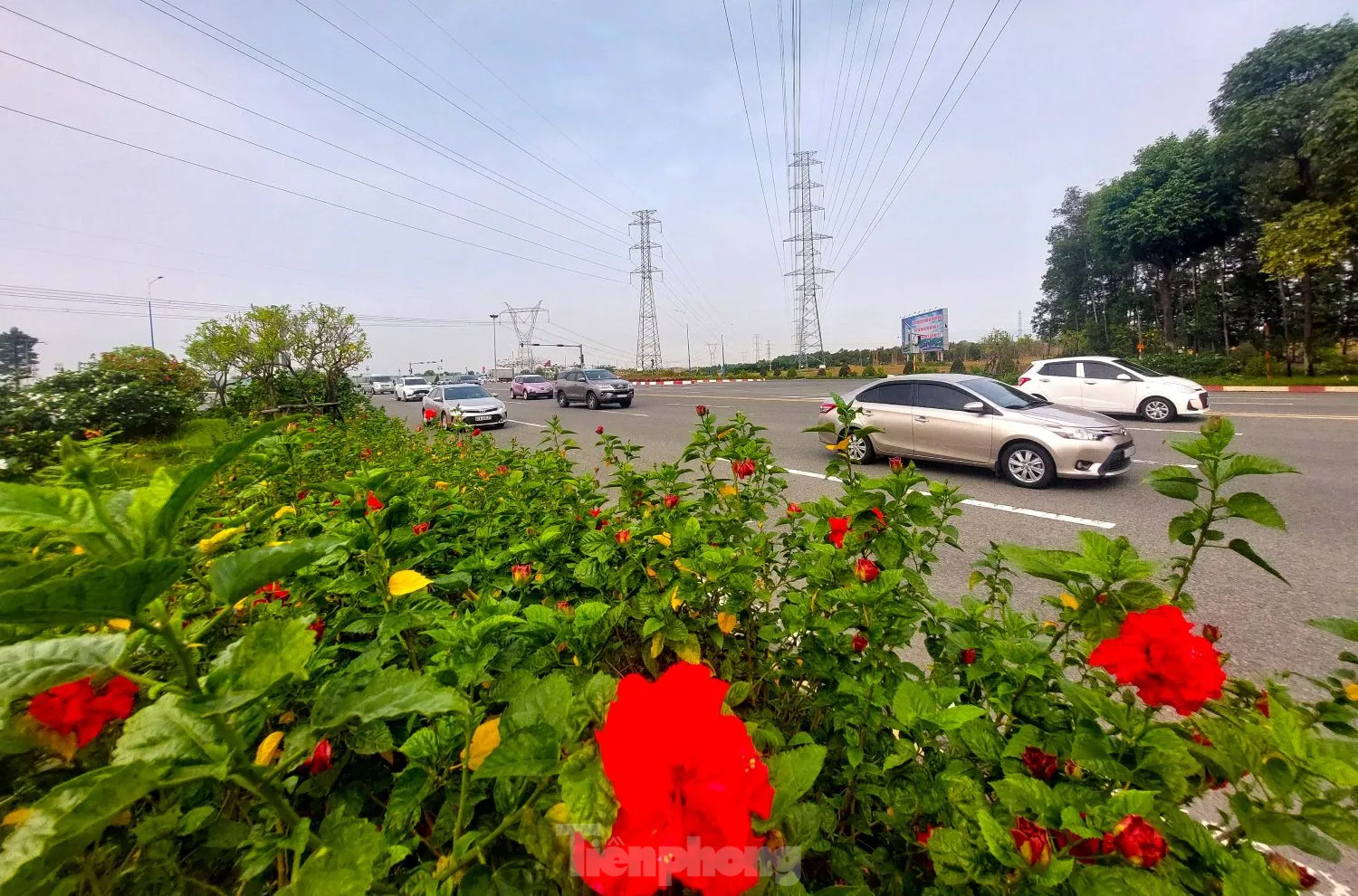 Ngắm tuyến đường như dải lụa nhiều làn nhất Bình Dương vừa được điều chỉnh tốc độ ảnh 11
