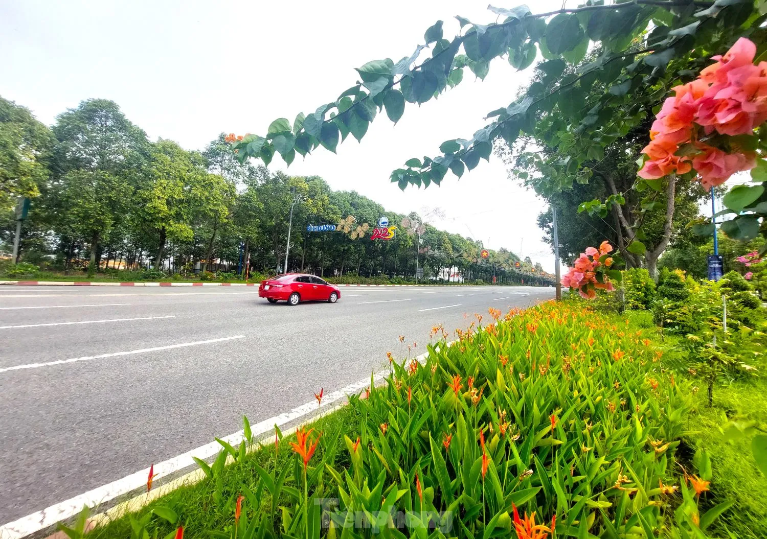 Ngắm tuyến đường như dải lụa nhiều làn nhất Bình Dương vừa được điều chỉnh tốc độ ảnh 7