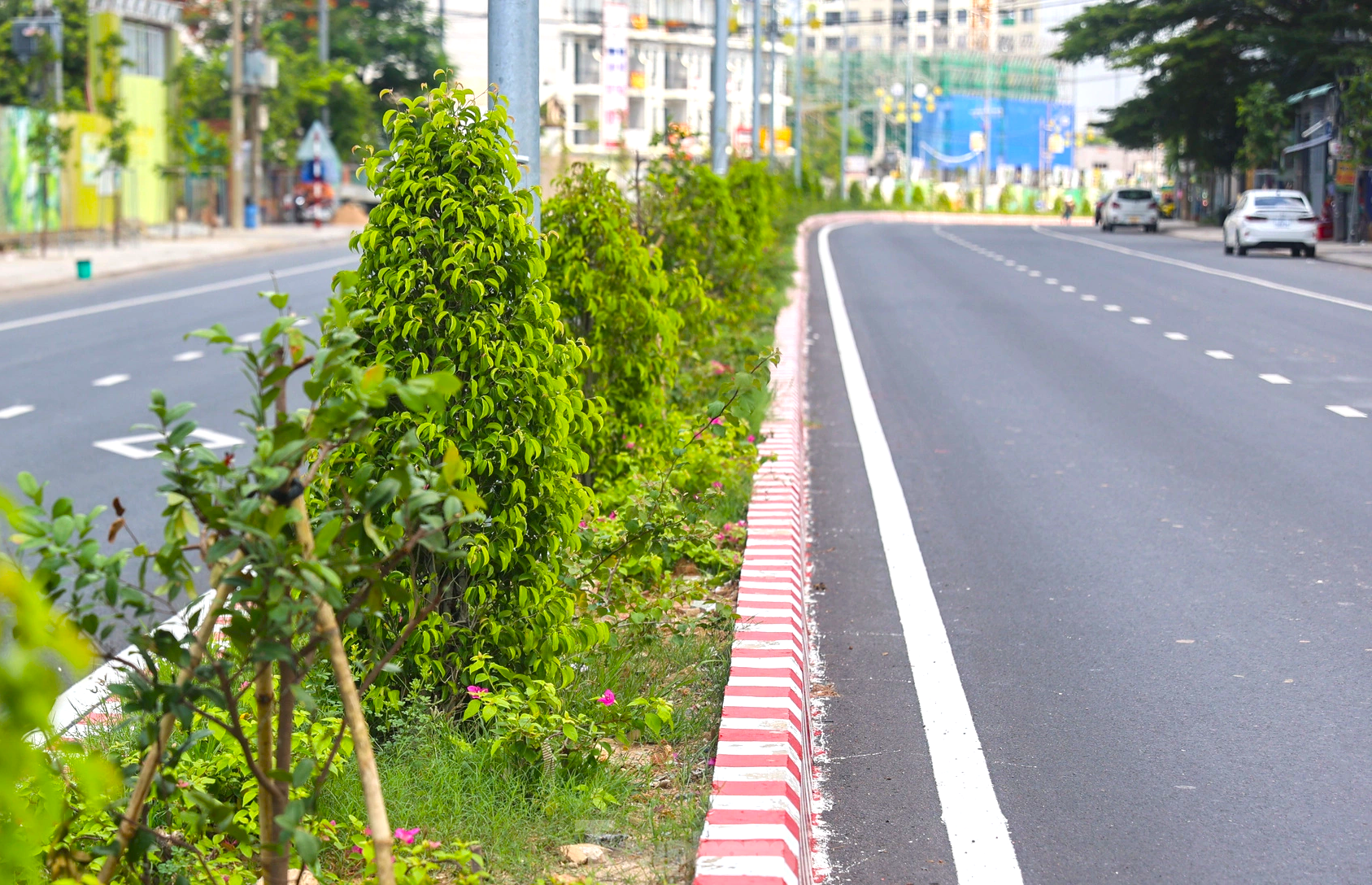 Chi 100 tỷ đồng ‘mở rào’ 50m đường nối Bình Dương và TPHCM ảnh 12