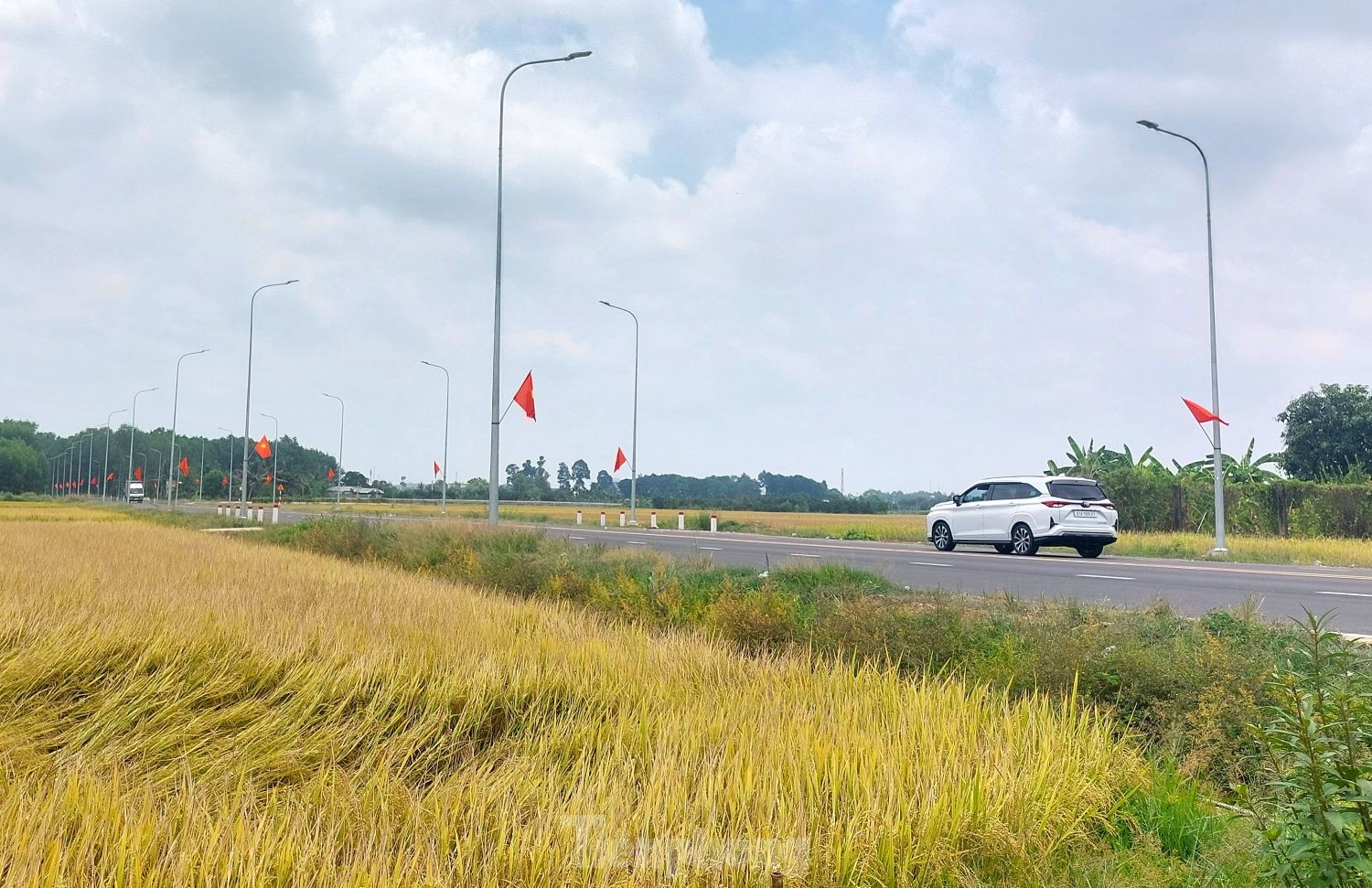 Ngắm đường dẫn cầu vượt sông nối Bình Dương và Đồng Nai từ trên cao ảnh 8
