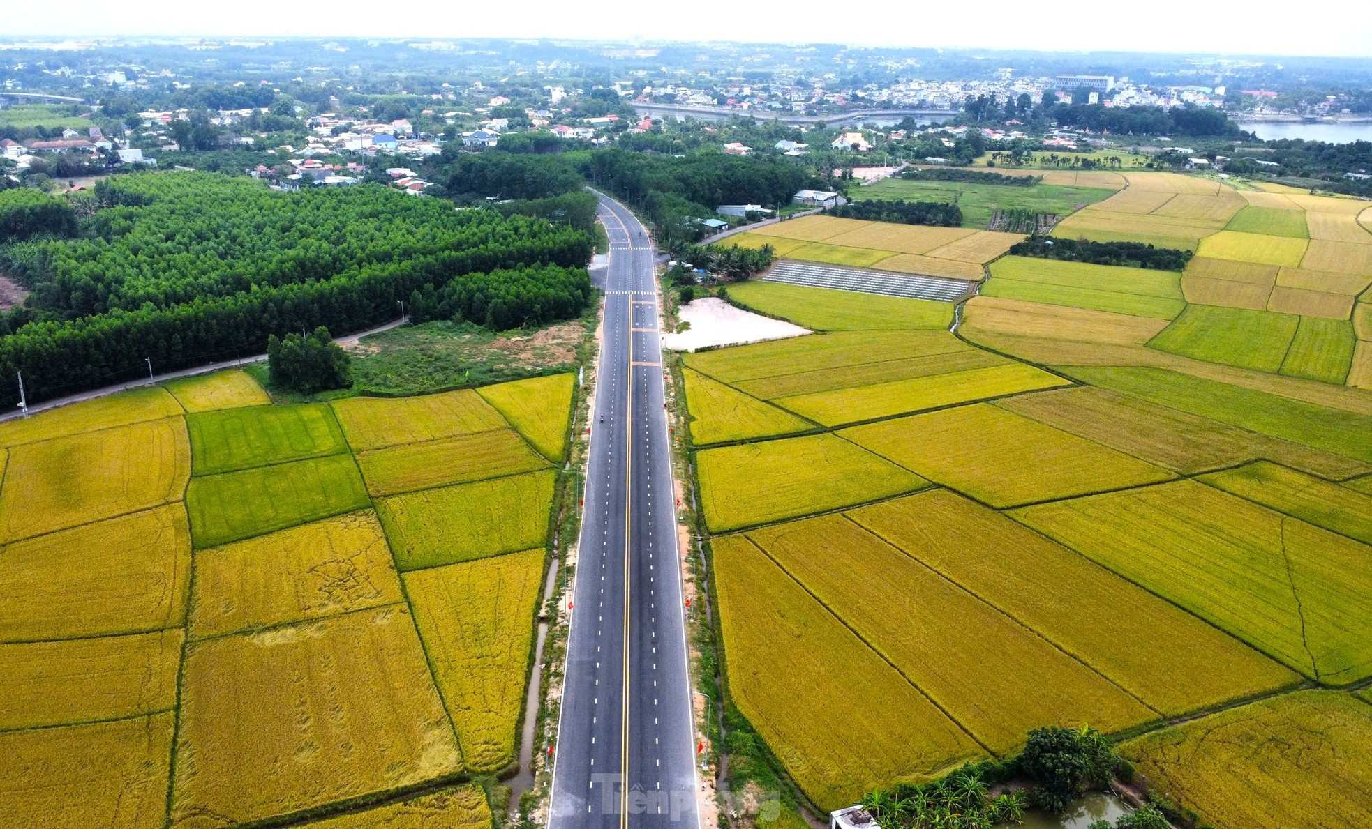 Ngắm đường dẫn cầu vượt sông nối Bình Dương và Đồng Nai từ trên cao ảnh 10