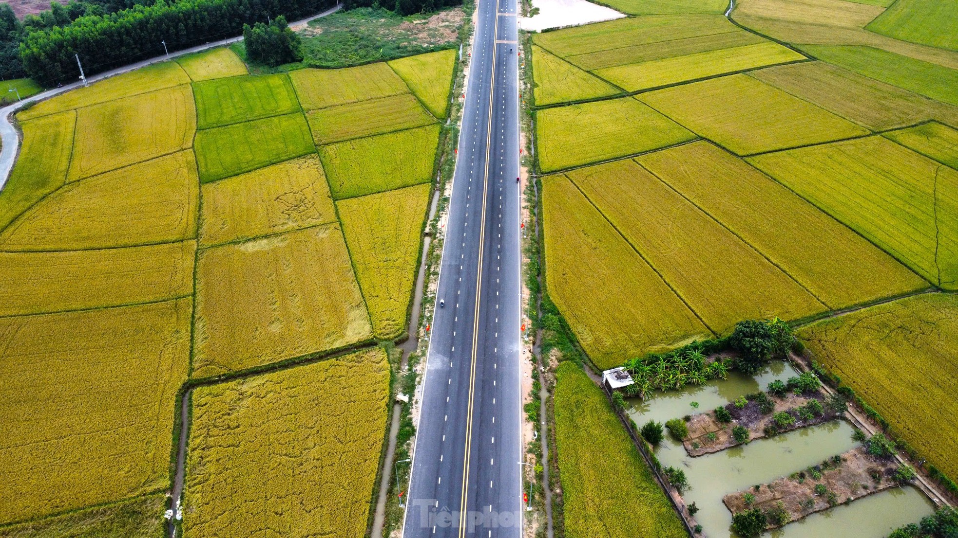 Ngắm đường dẫn cầu vượt sông nối Bình Dương và Đồng Nai từ trên cao ảnh 5