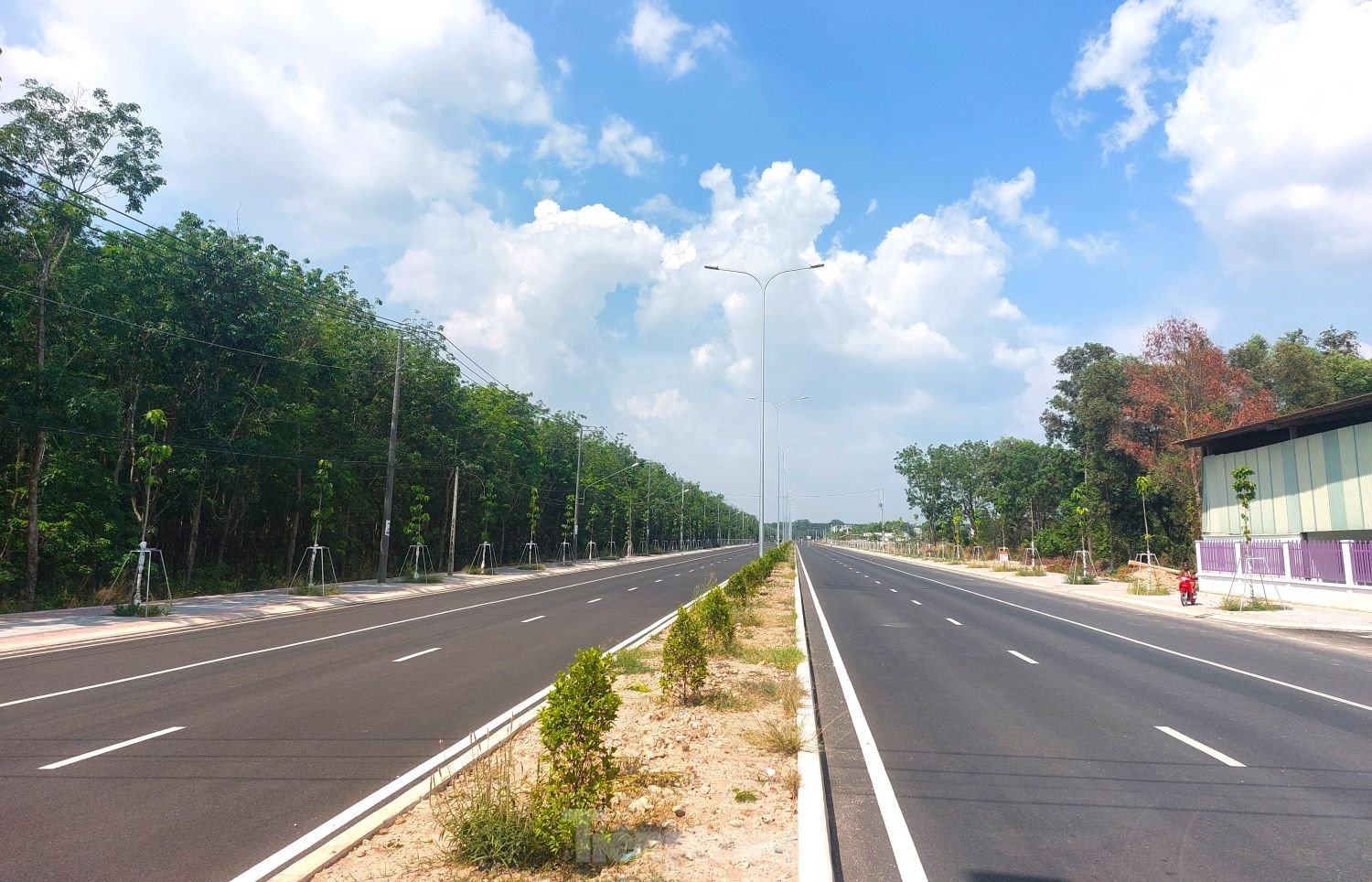 Tuyến đường gần 1.500 tỷ đồng như ‘dải lụa’ qua khu công nghiệp xanh ở Bình Dương ảnh 4