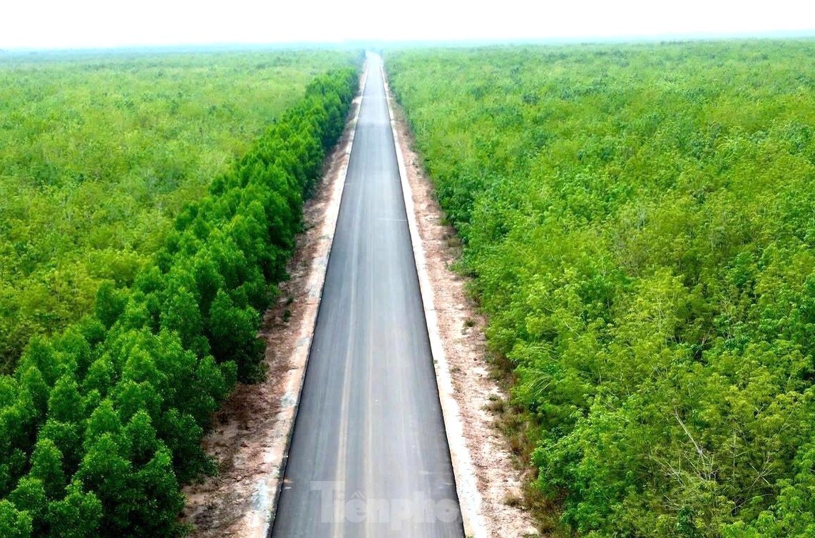 Dự án đường hơn 300 tỷ ì ạch tiến độ vì vướng mặt bằng ảnh 13