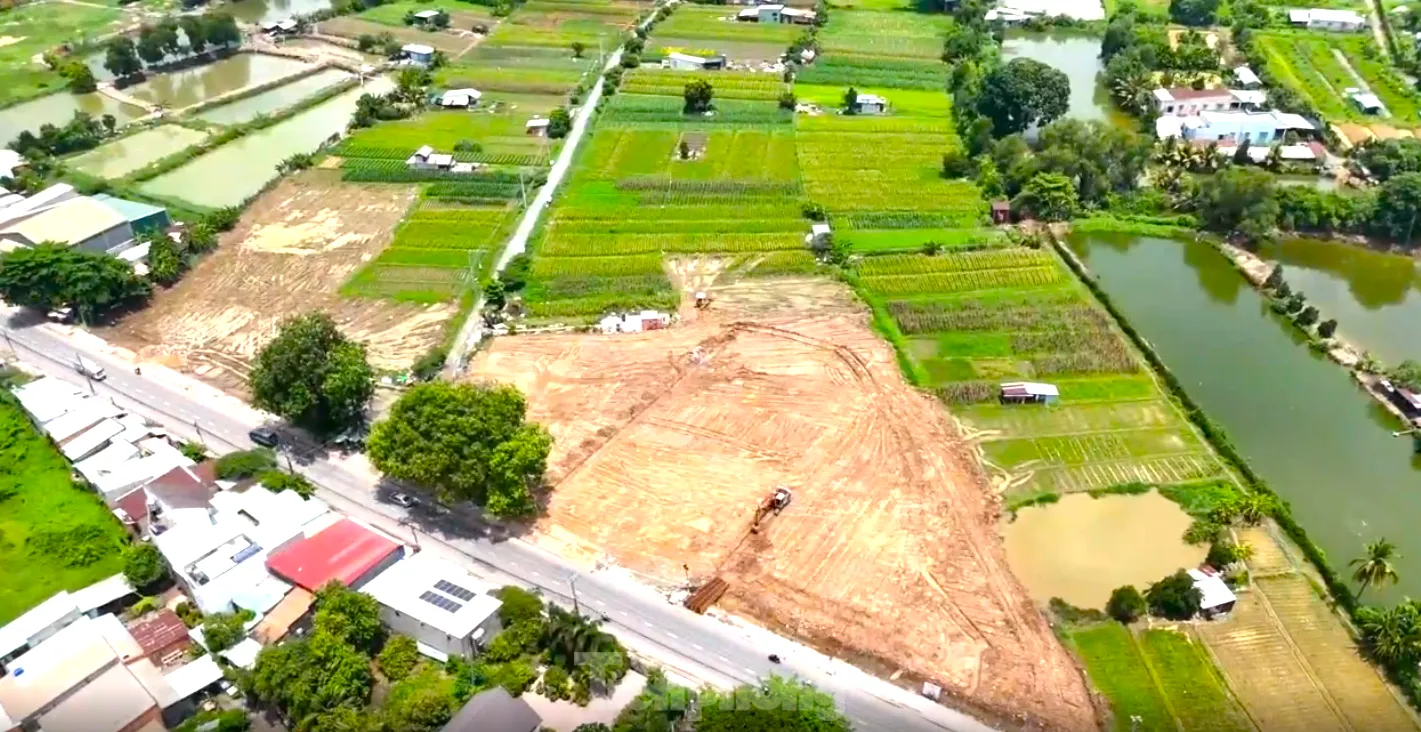 Tận thấy 'thủ phủ' hoa ở Bình Dương sắp bị xóa sổ ảnh 5
