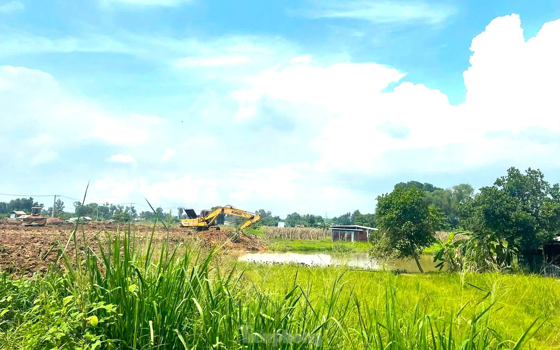 Tận thấy 'thủ phủ' hoa ở Bình Dương sắp bị xóa sổ ảnh 4